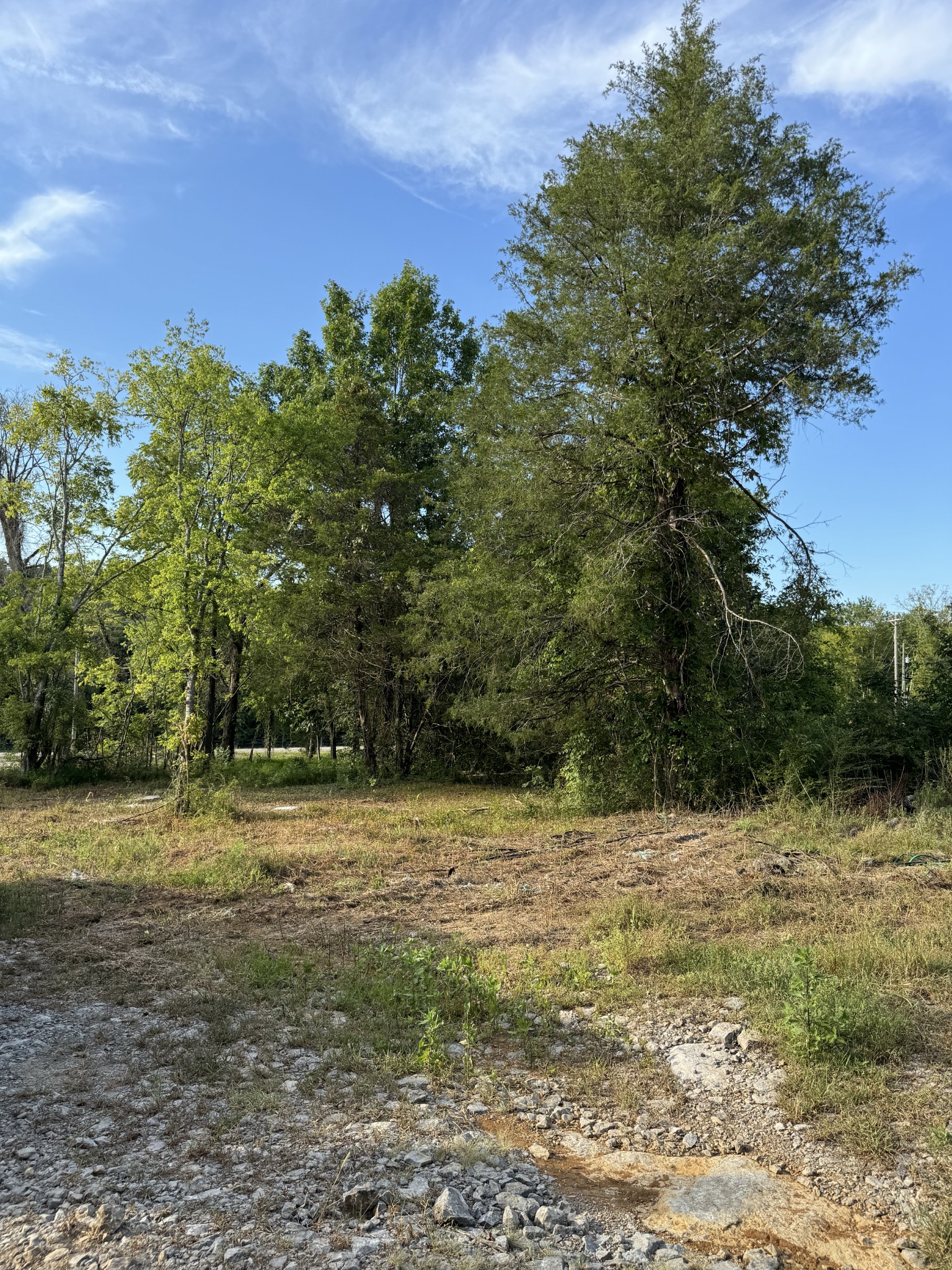 11911 Franklin Rd Property Photo 25
