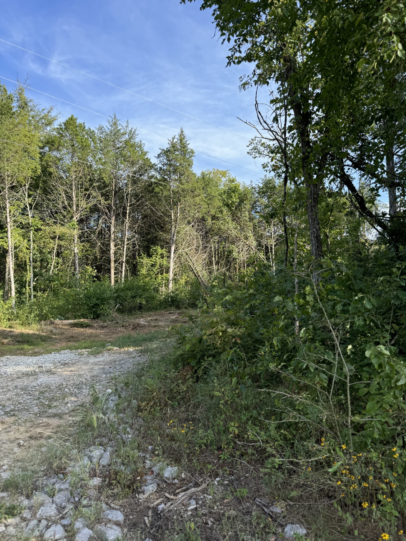 11911 Franklin Rd Property Photo 26