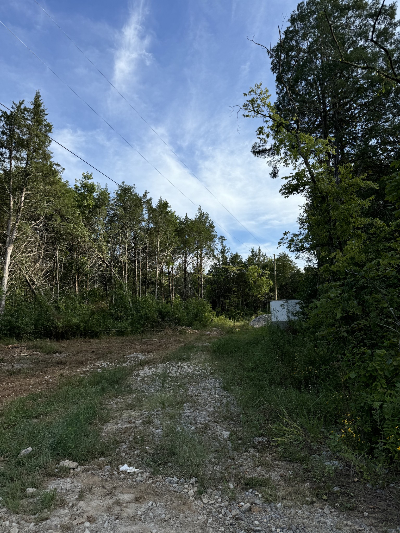 11911 Franklin Rd Property Photo 27