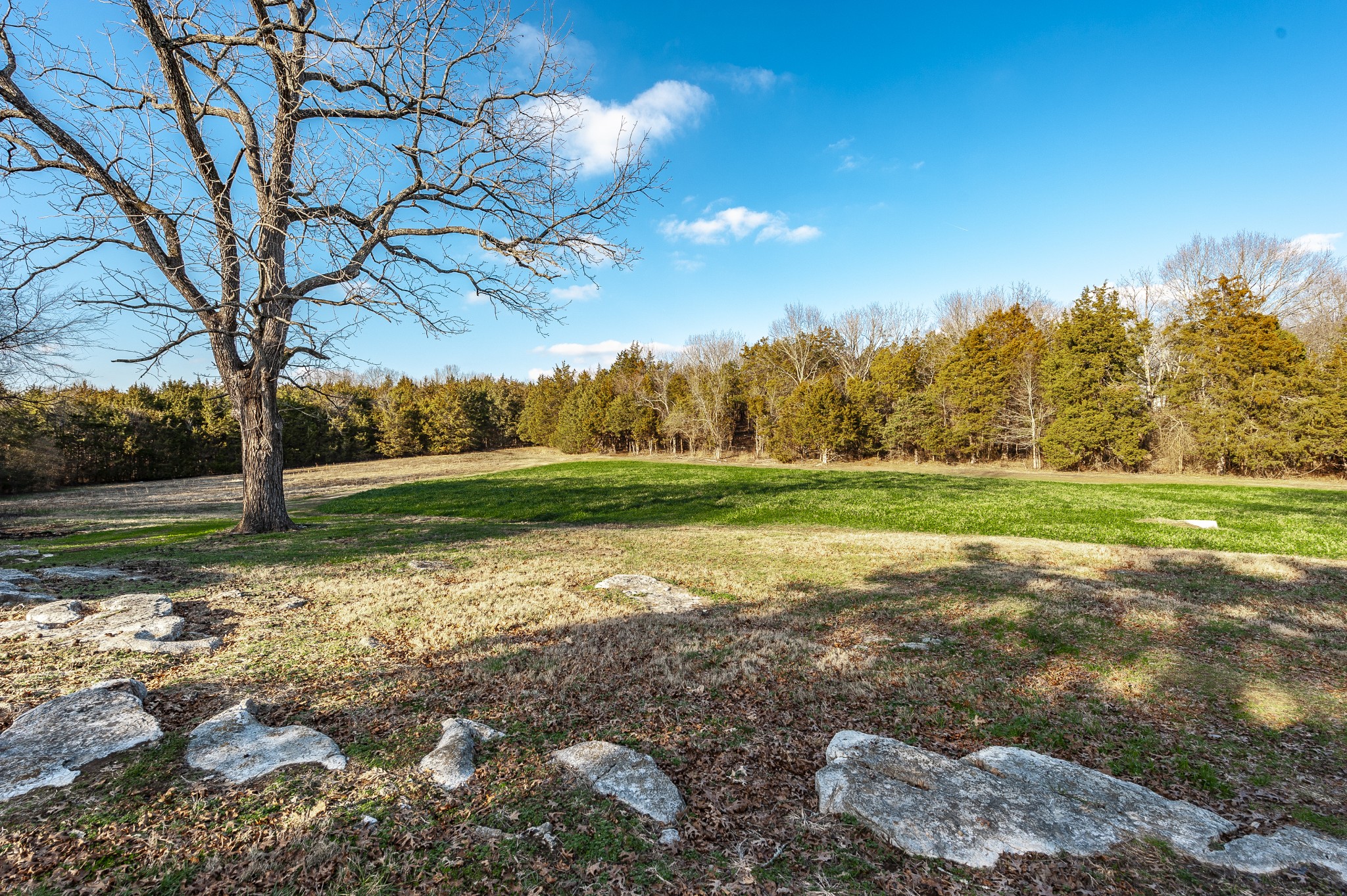 8948 Rocky Fork Rd Property Photo 3