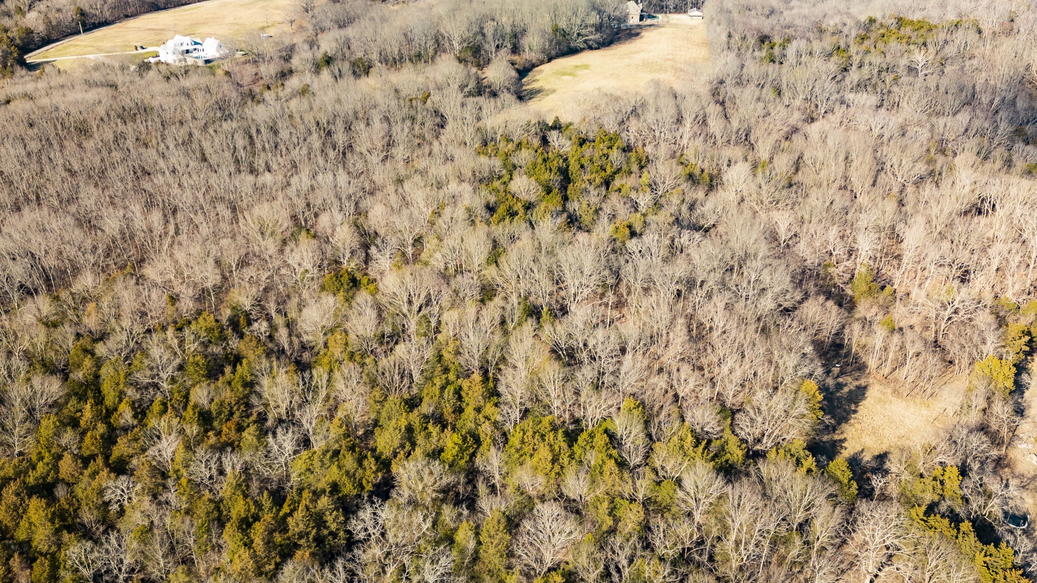 8948 Rocky Fork Rd Property Photo 9