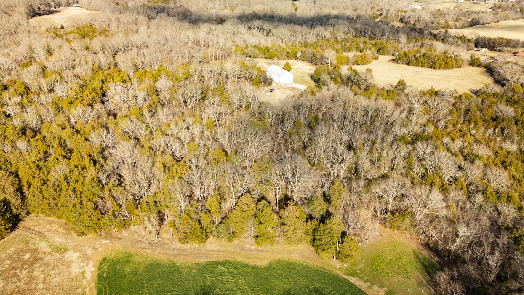 8948 Rocky Fork Rd Property Photo 11