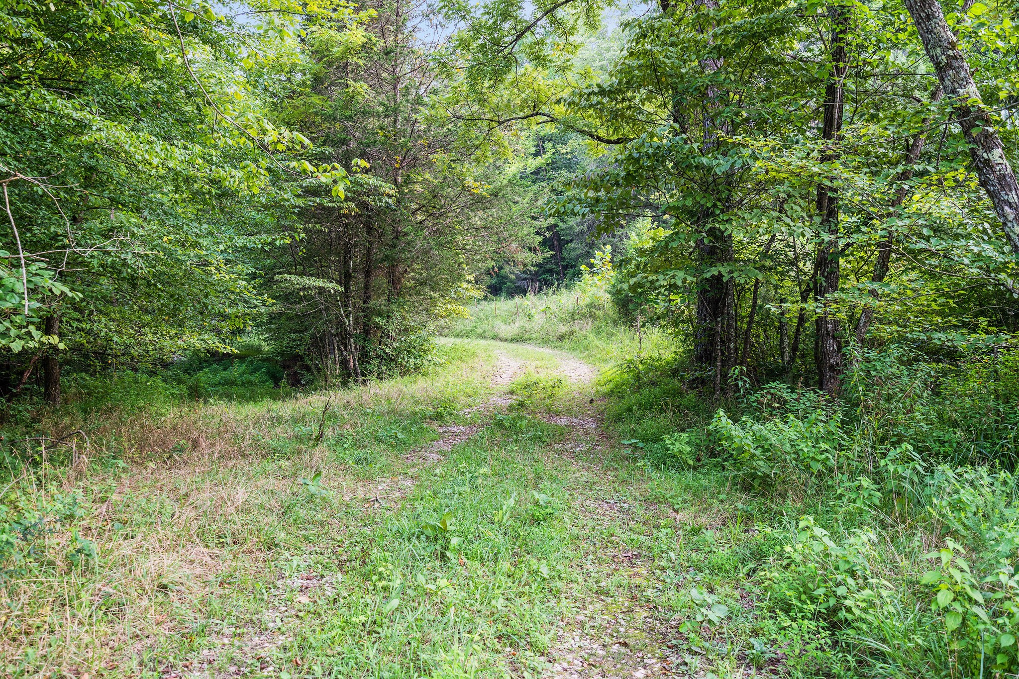 0 Skelley Rd Property Photo 16