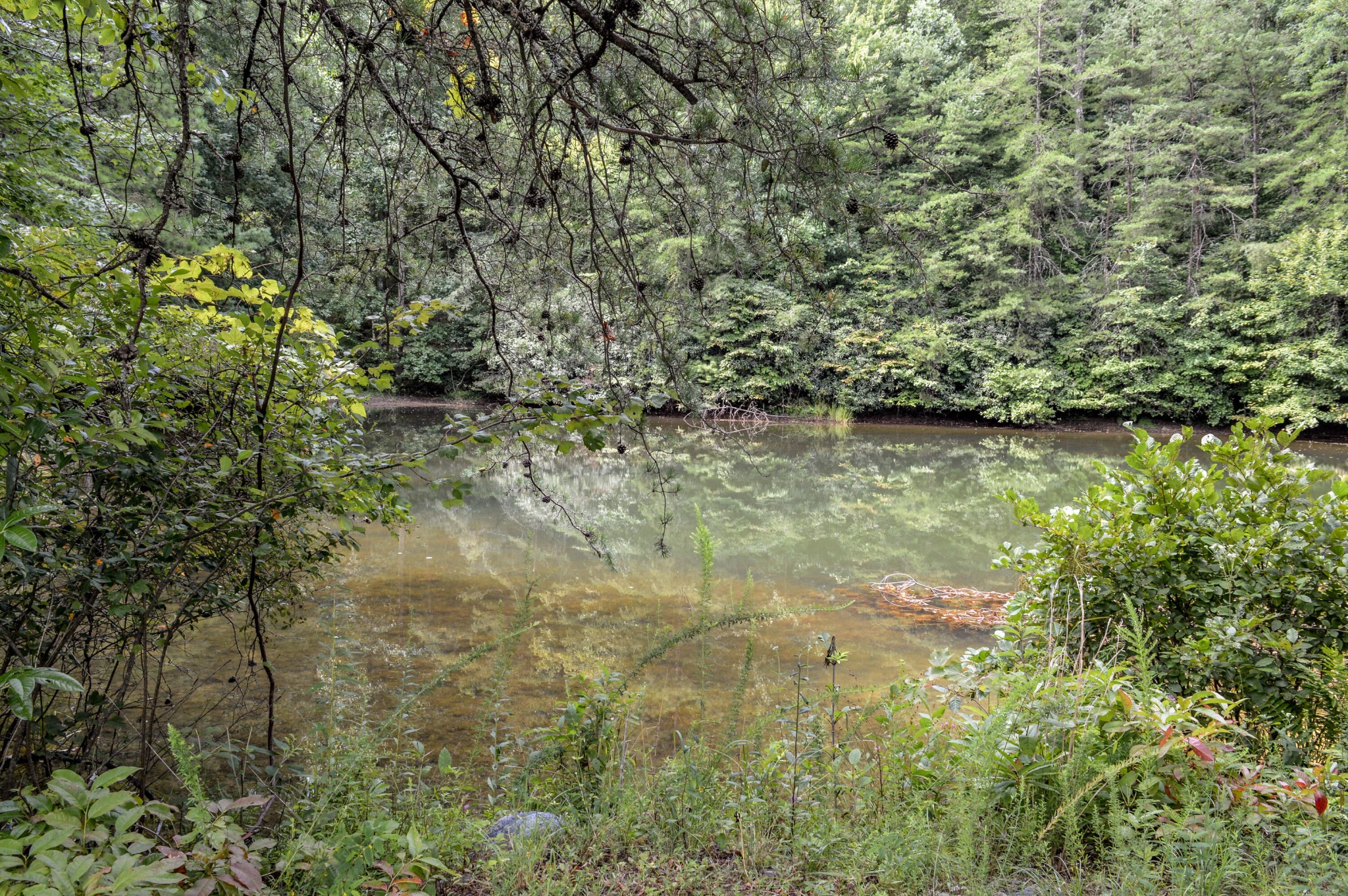 1051 Ducks Nest Road Property Photo 13