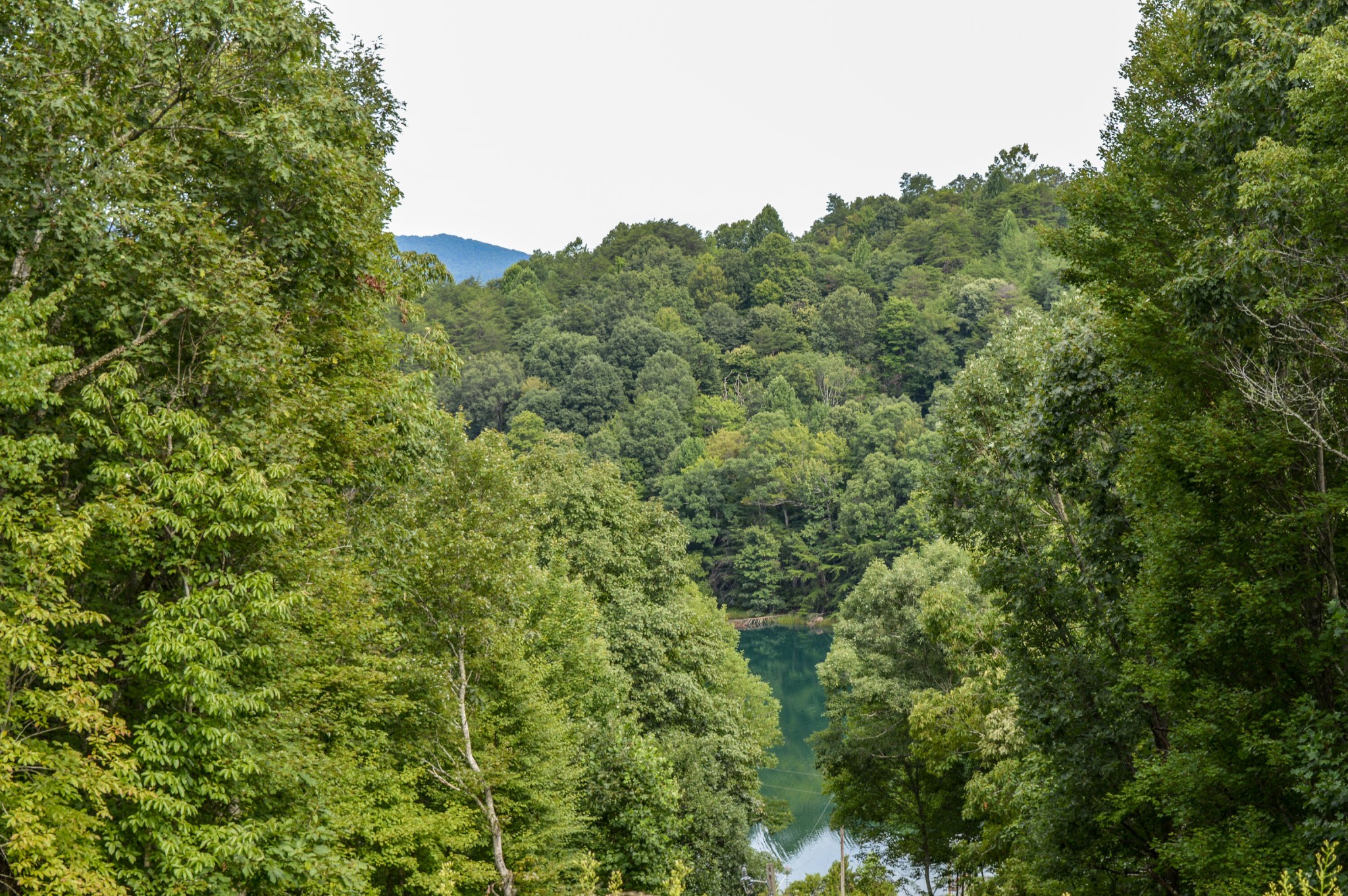 1051 Ducks Nest Road Property Photo 14