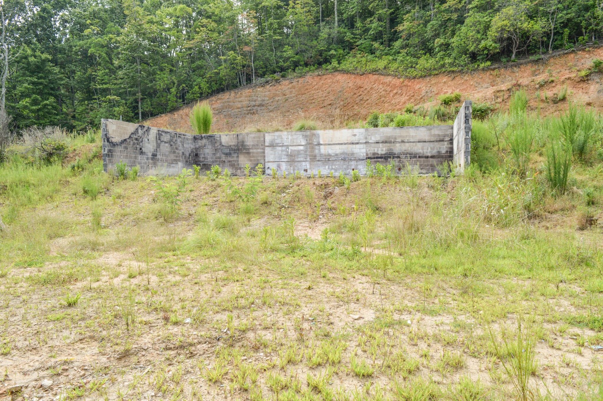 1051 Ducks Nest Road Property Photo 15