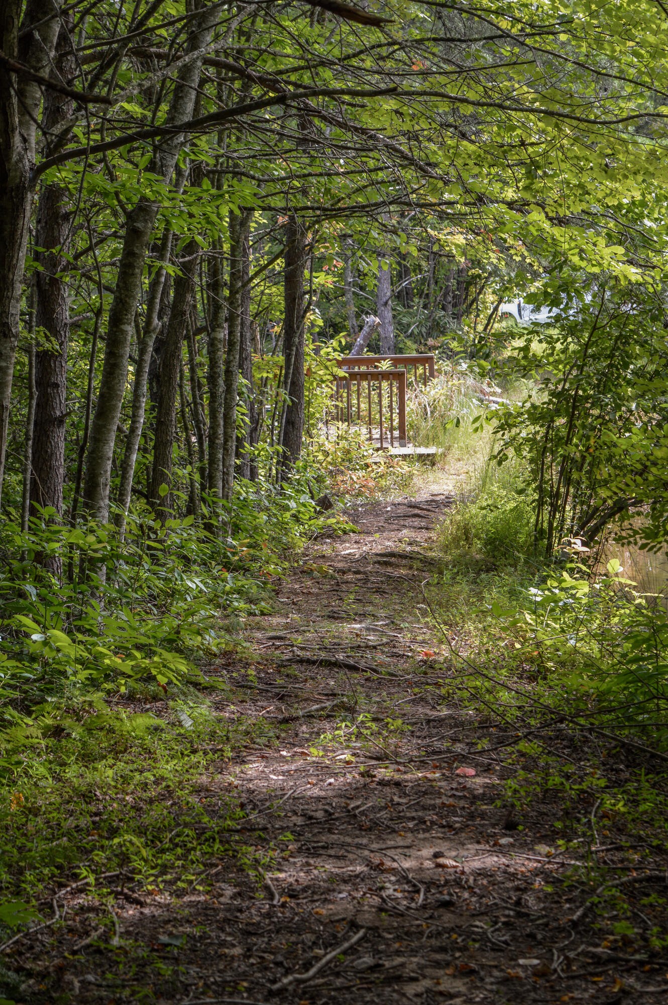 1051 Ducks Nest Road Property Photo 18