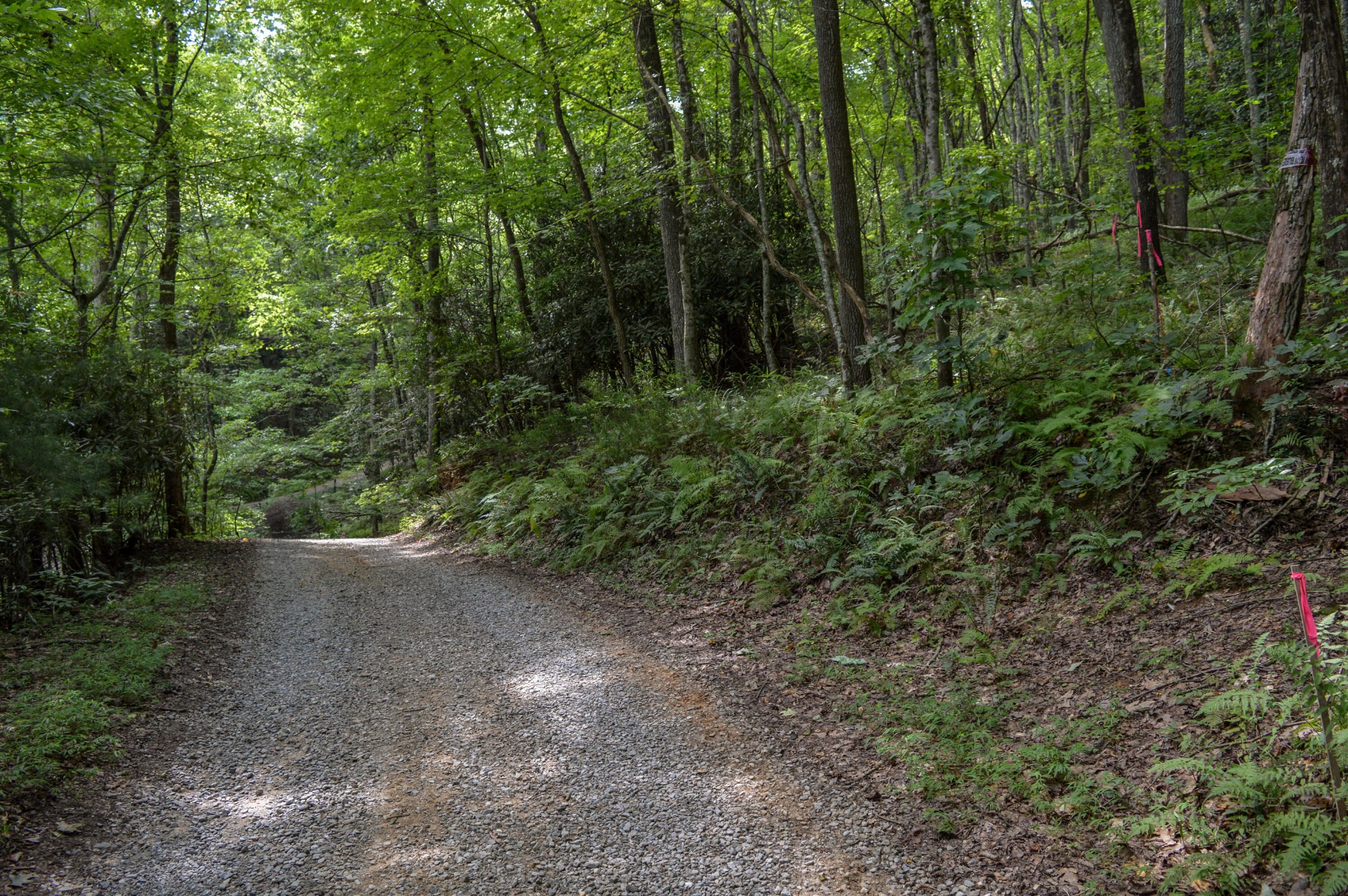 1051 Ducks Nest Road Property Photo 19