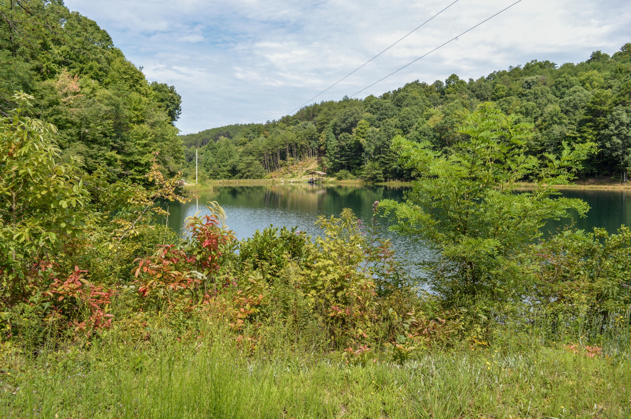1051 Ducks Nest Road Property Photo 20