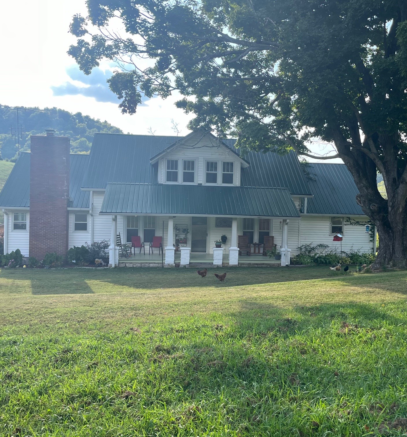 3544 Highway 231, S Property Photo 1