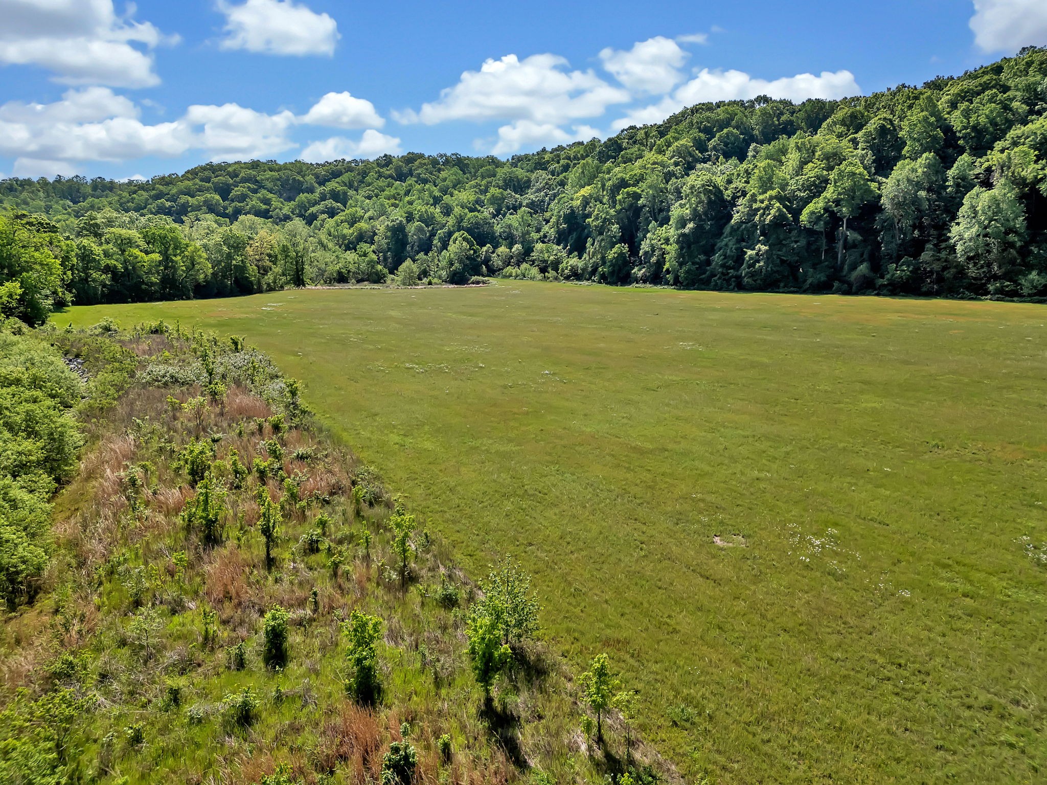 9515 Highway 147 Property Photo 35