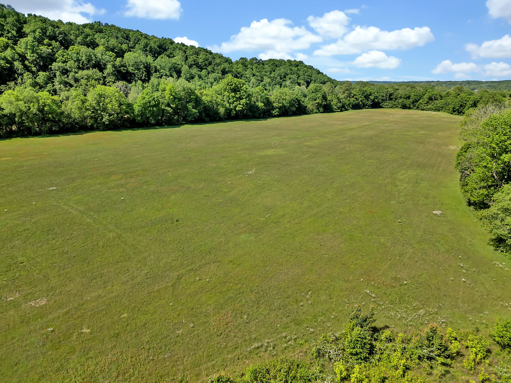 9515 Highway 147 Property Photo 37
