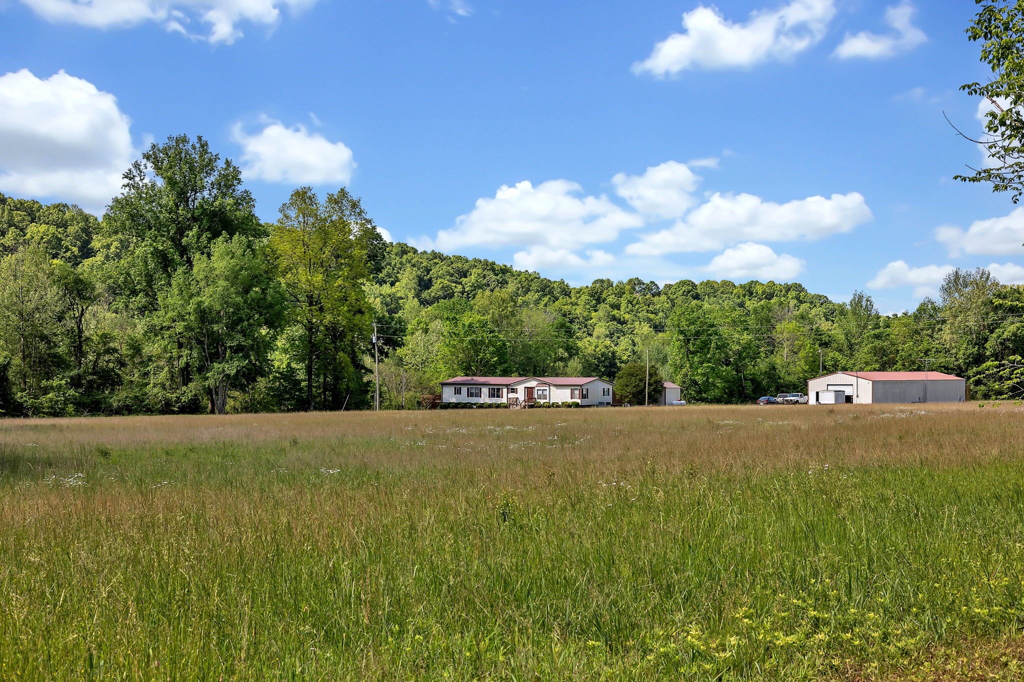 9515 Highway 147 Property Photo 41