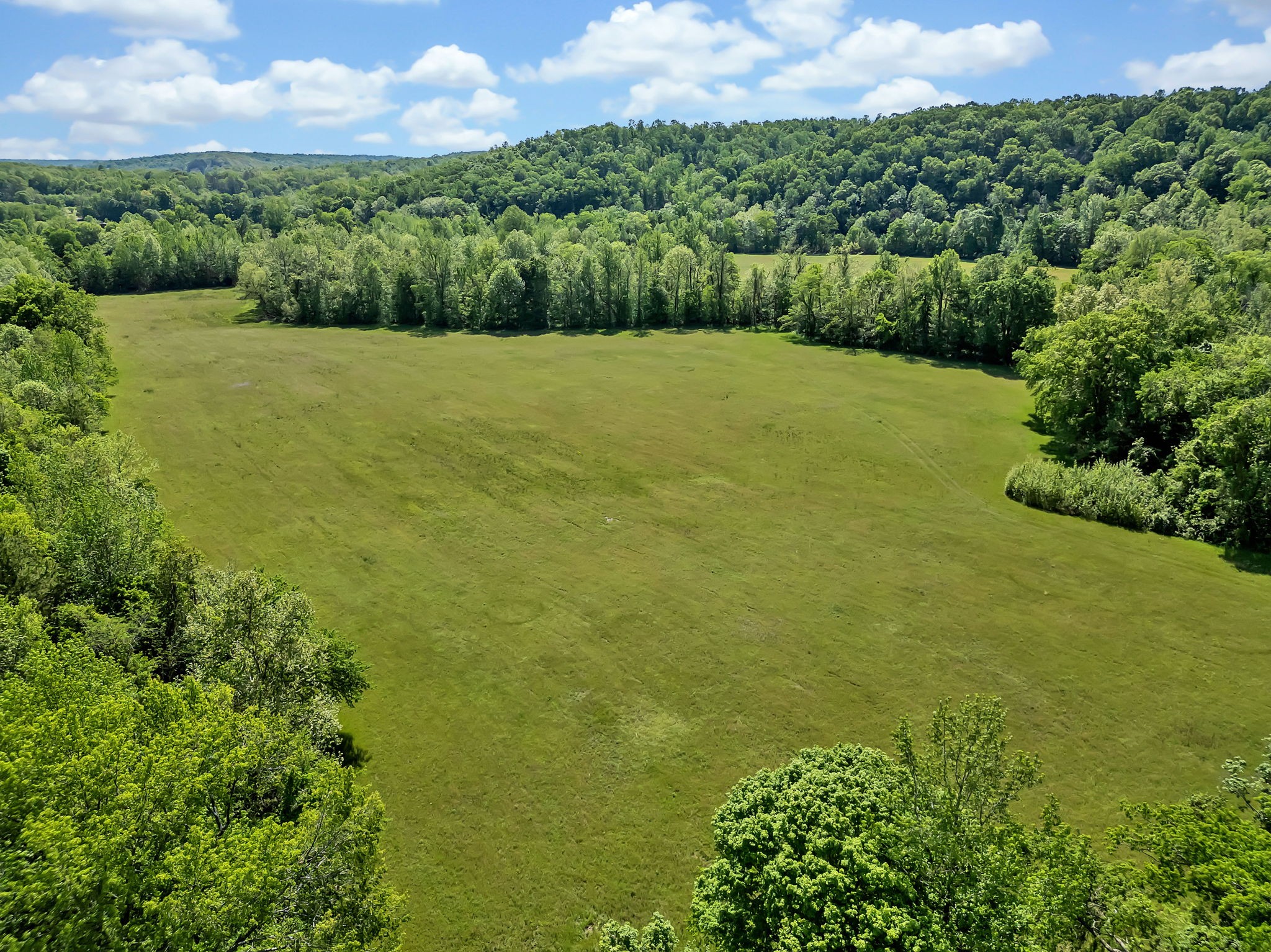 9515 Highway 147 Property Photo 44