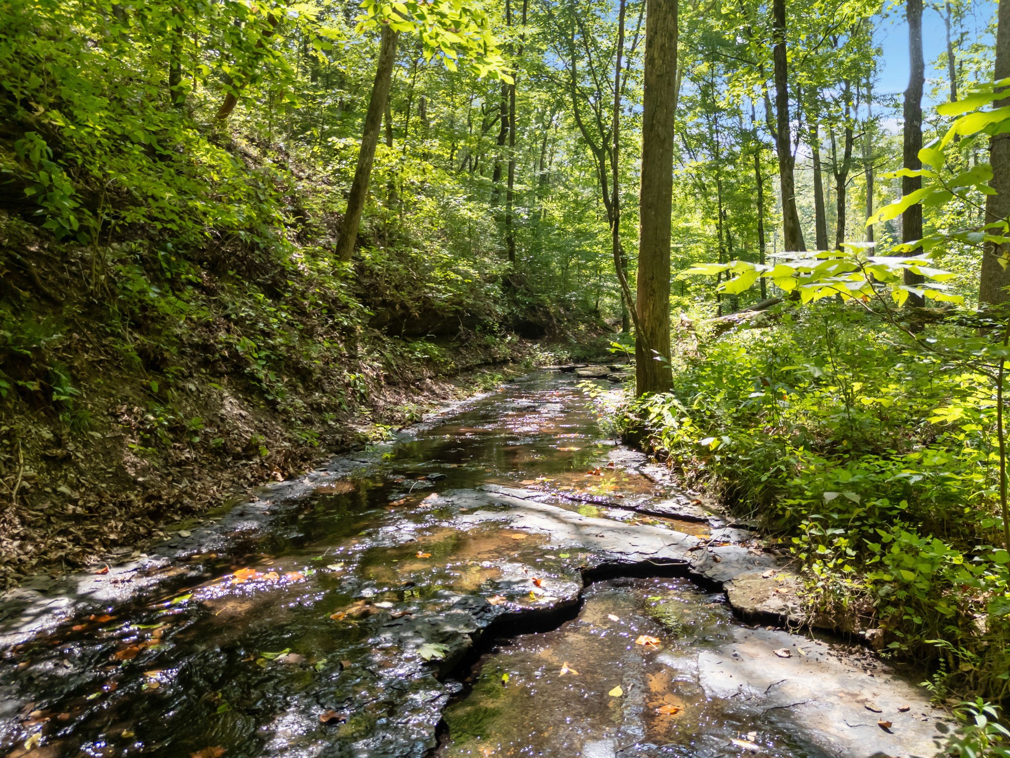 5755 N Lick Creek Rd Property Photo
