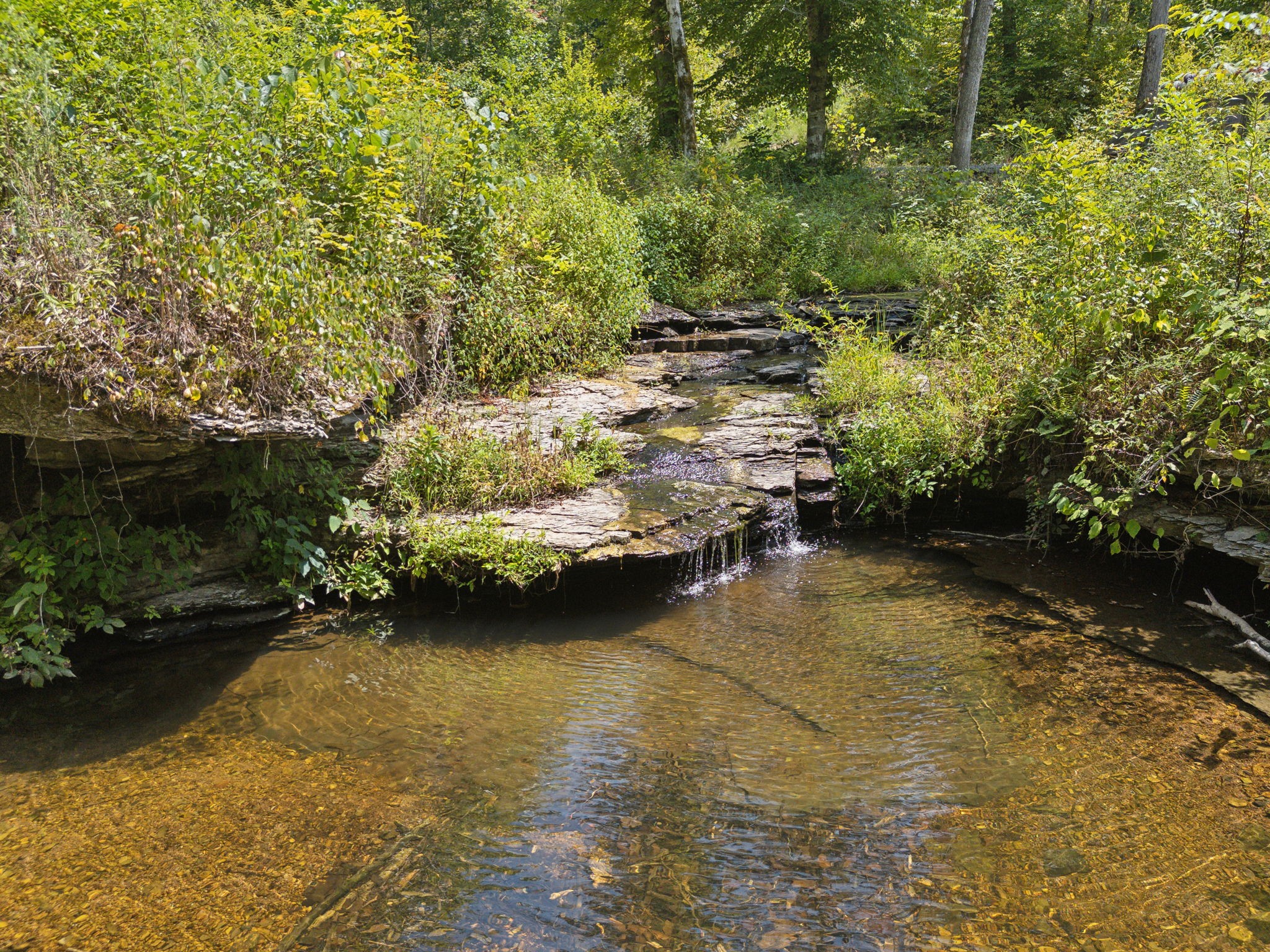5755 N Lick Creek Rd Property Photo 36