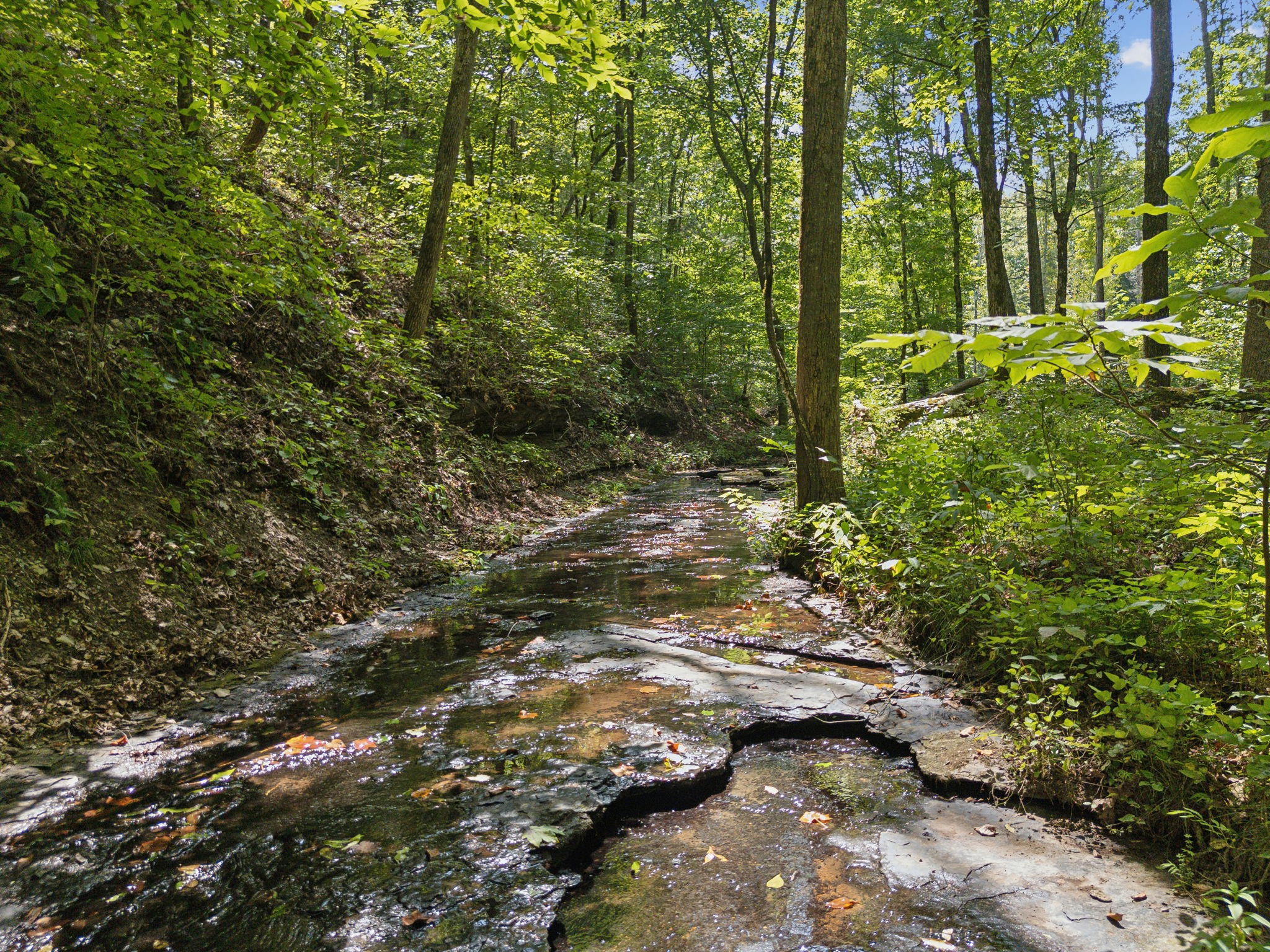 5755 N Lick Creek Rd Property Photo 37