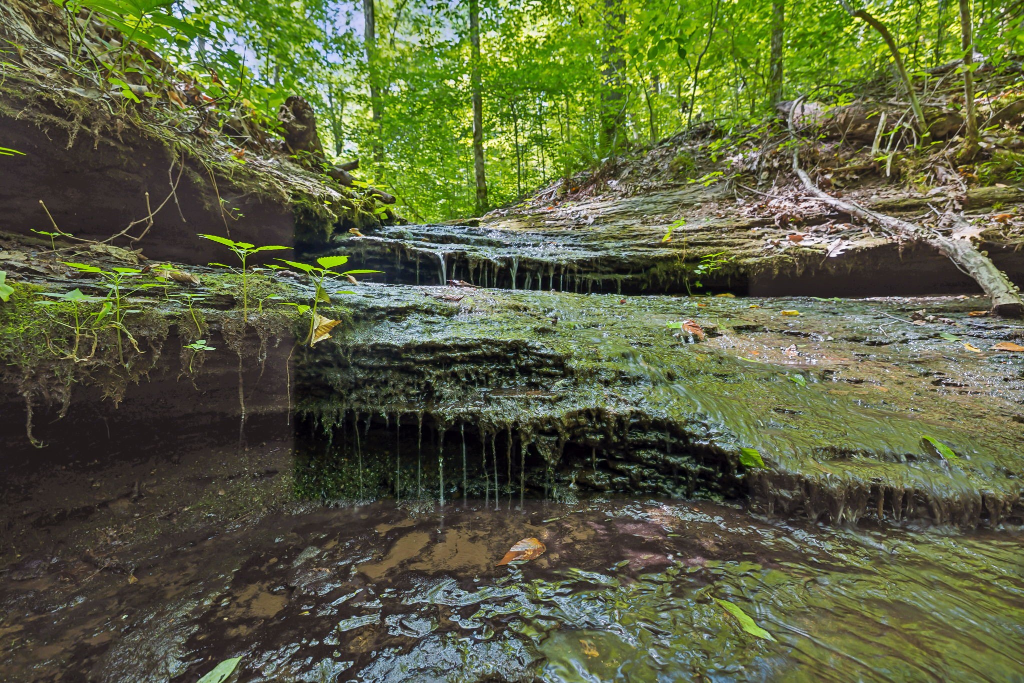 5755 N Lick Creek Rd Property Photo 39