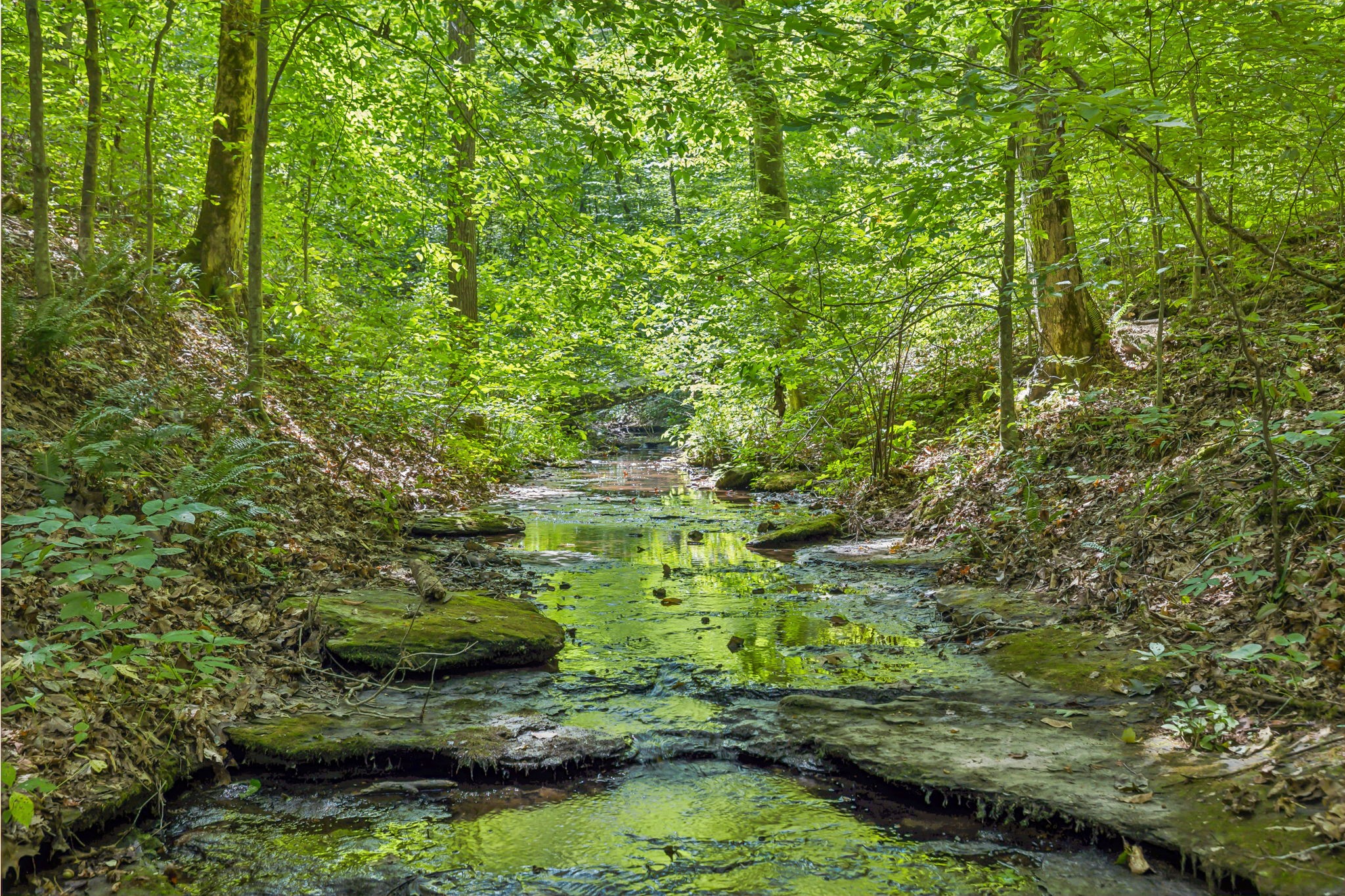 5755 N Lick Creek Rd Property Photo 41