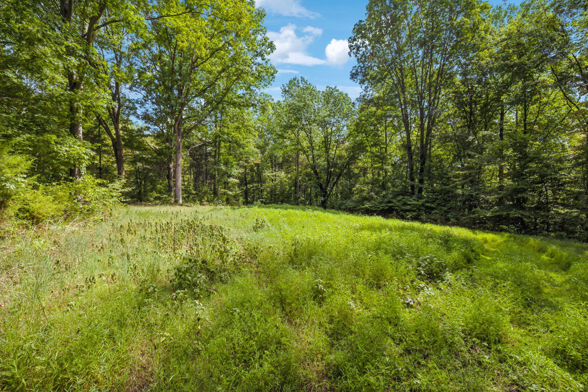 5755 N Lick Creek Rd Property Photo 44