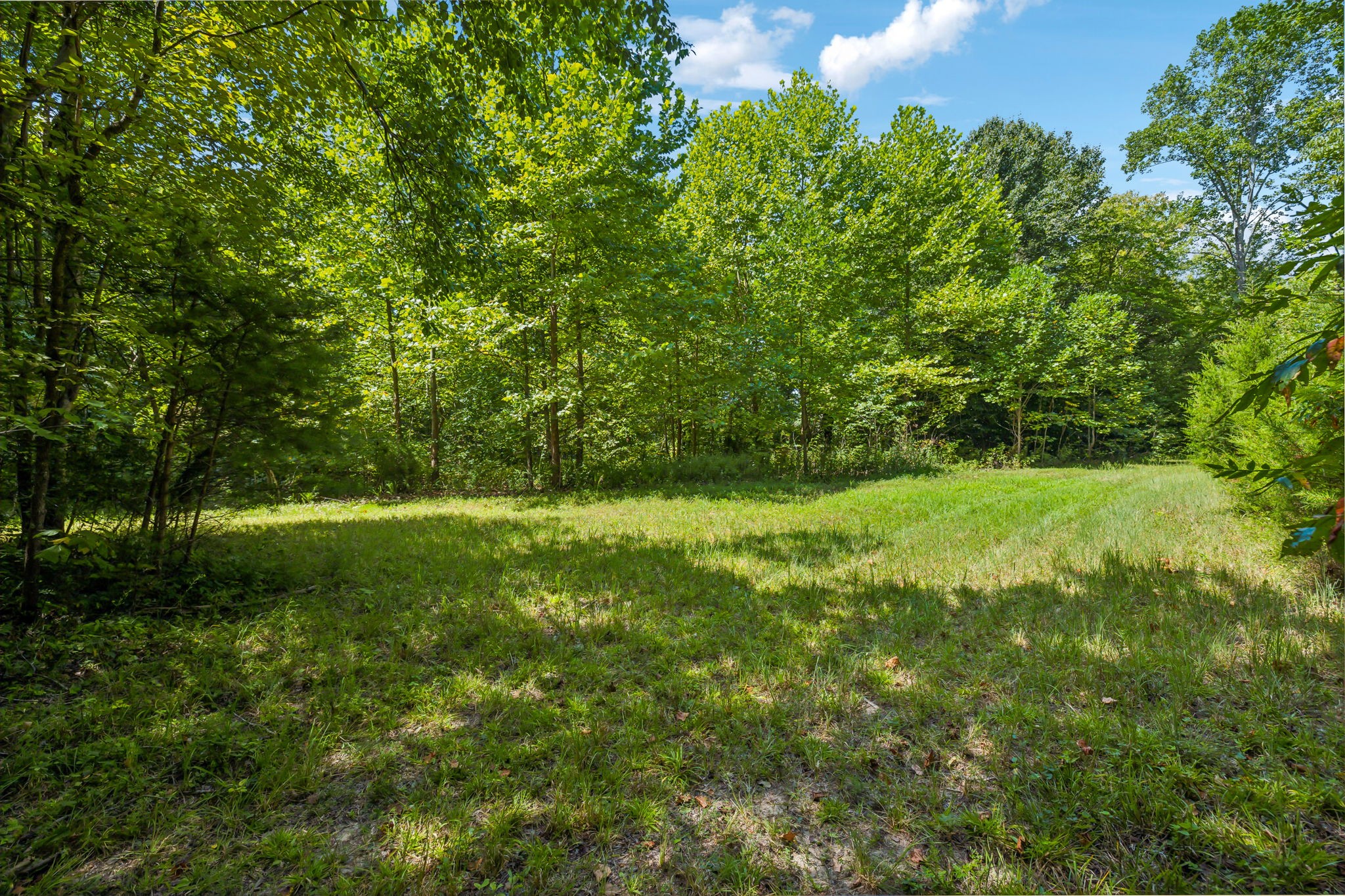 5755 N Lick Creek Rd Property Photo 45