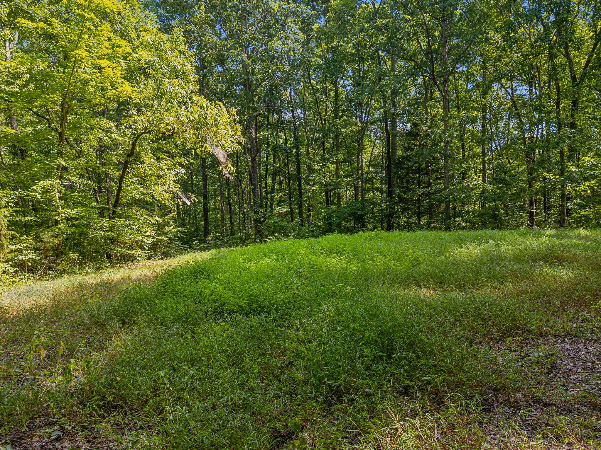 5755 N Lick Creek Rd Property Photo 46