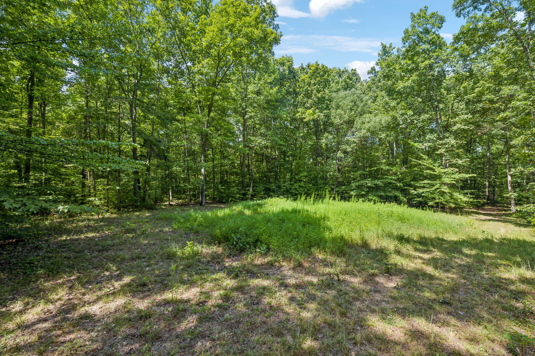 5755 N Lick Creek Rd Property Photo 47