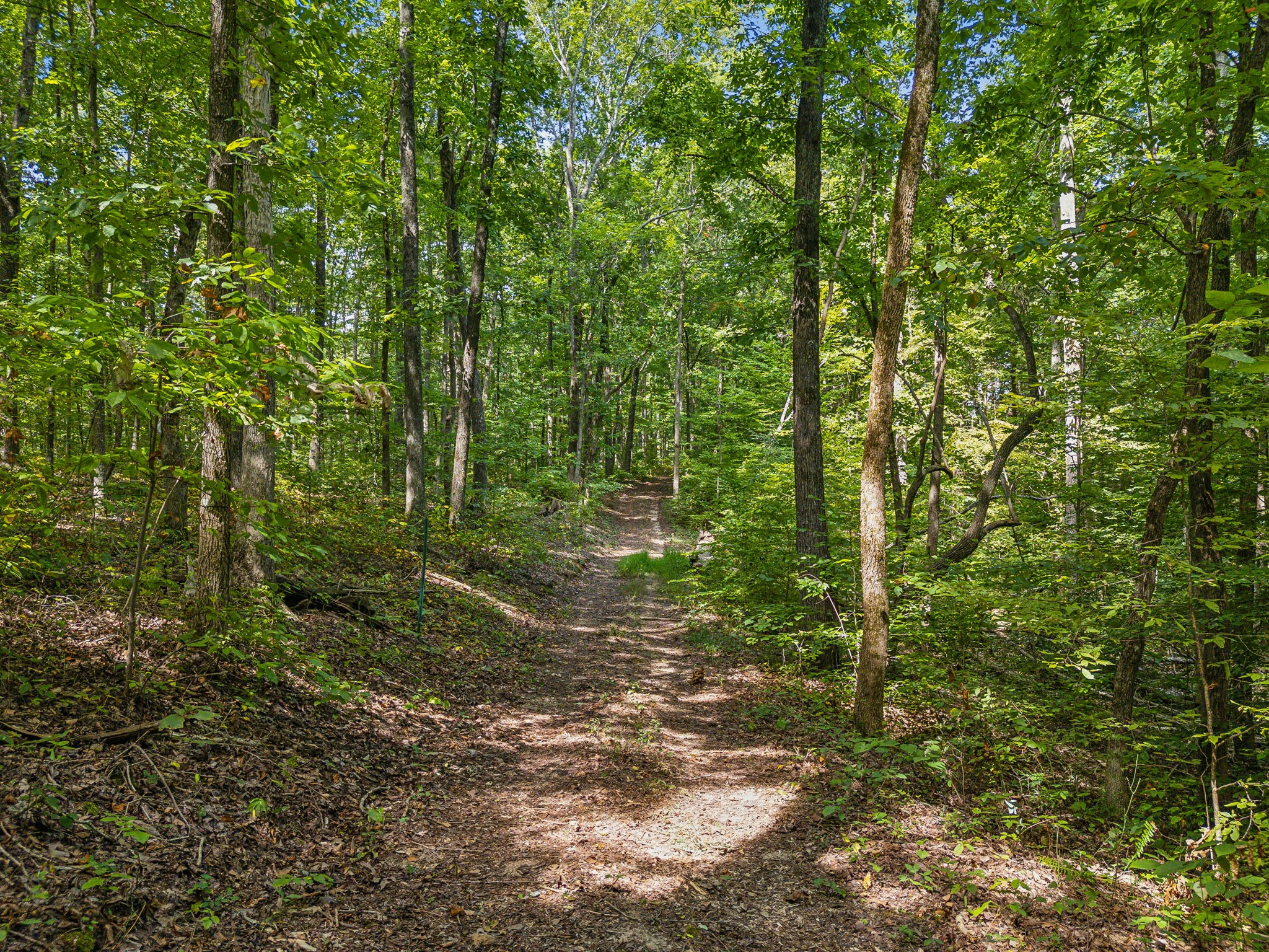 5755 N Lick Creek Rd Property Photo 48