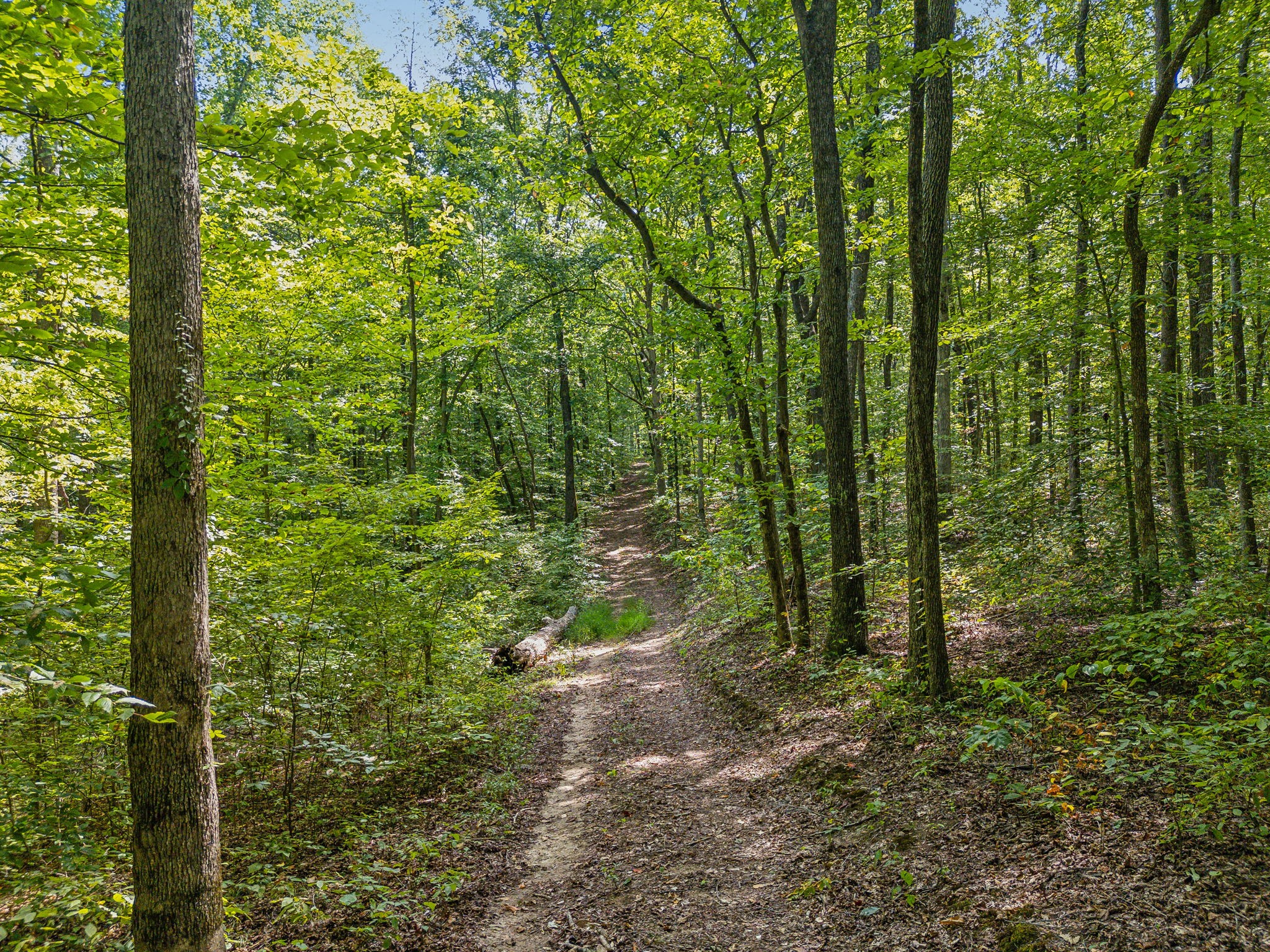 5755 N Lick Creek Rd Property Photo 49