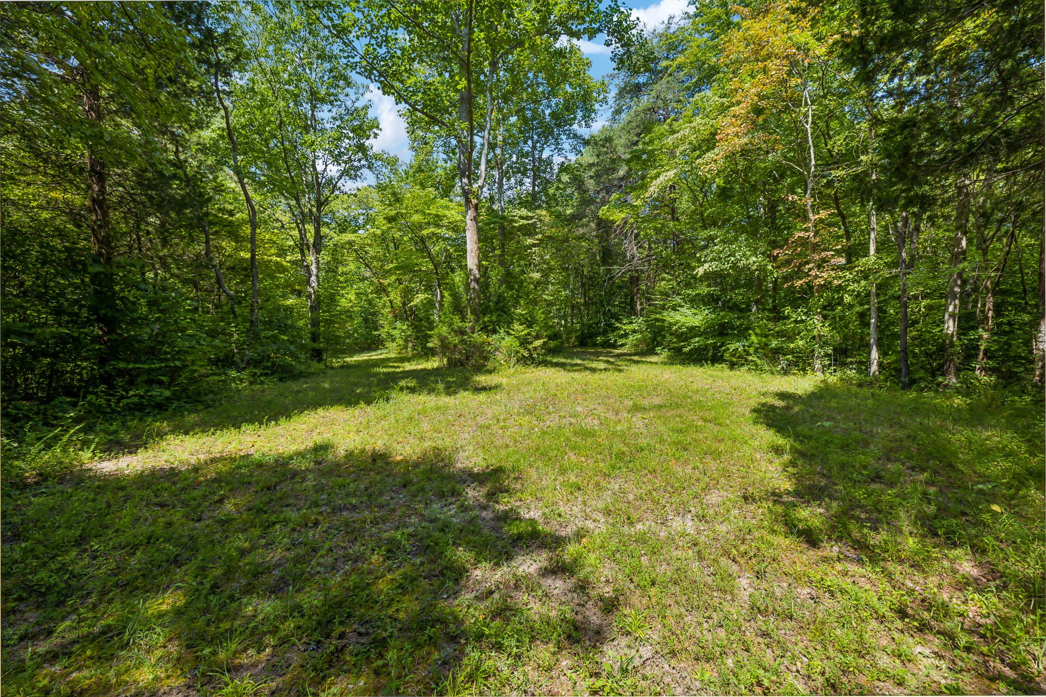 5755 N Lick Creek Rd Property Photo 53