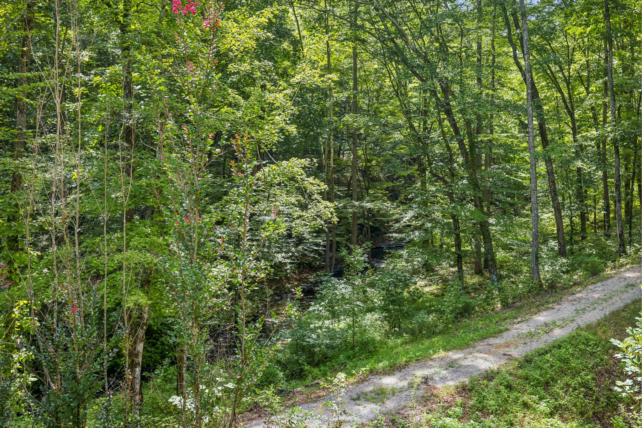 5755 N Lick Creek Rd Property Photo 56