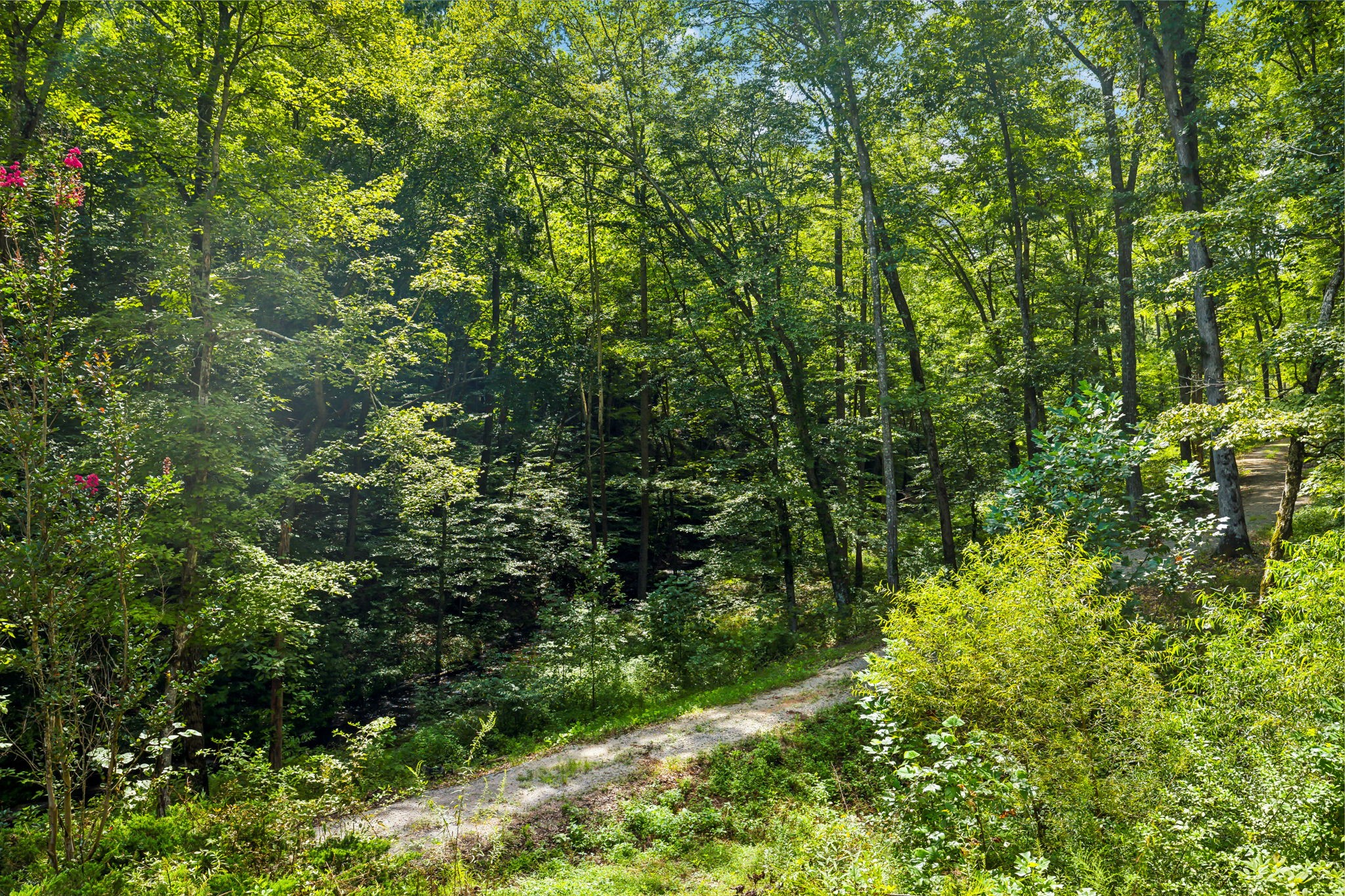 5755 N Lick Creek Rd Property Photo 57