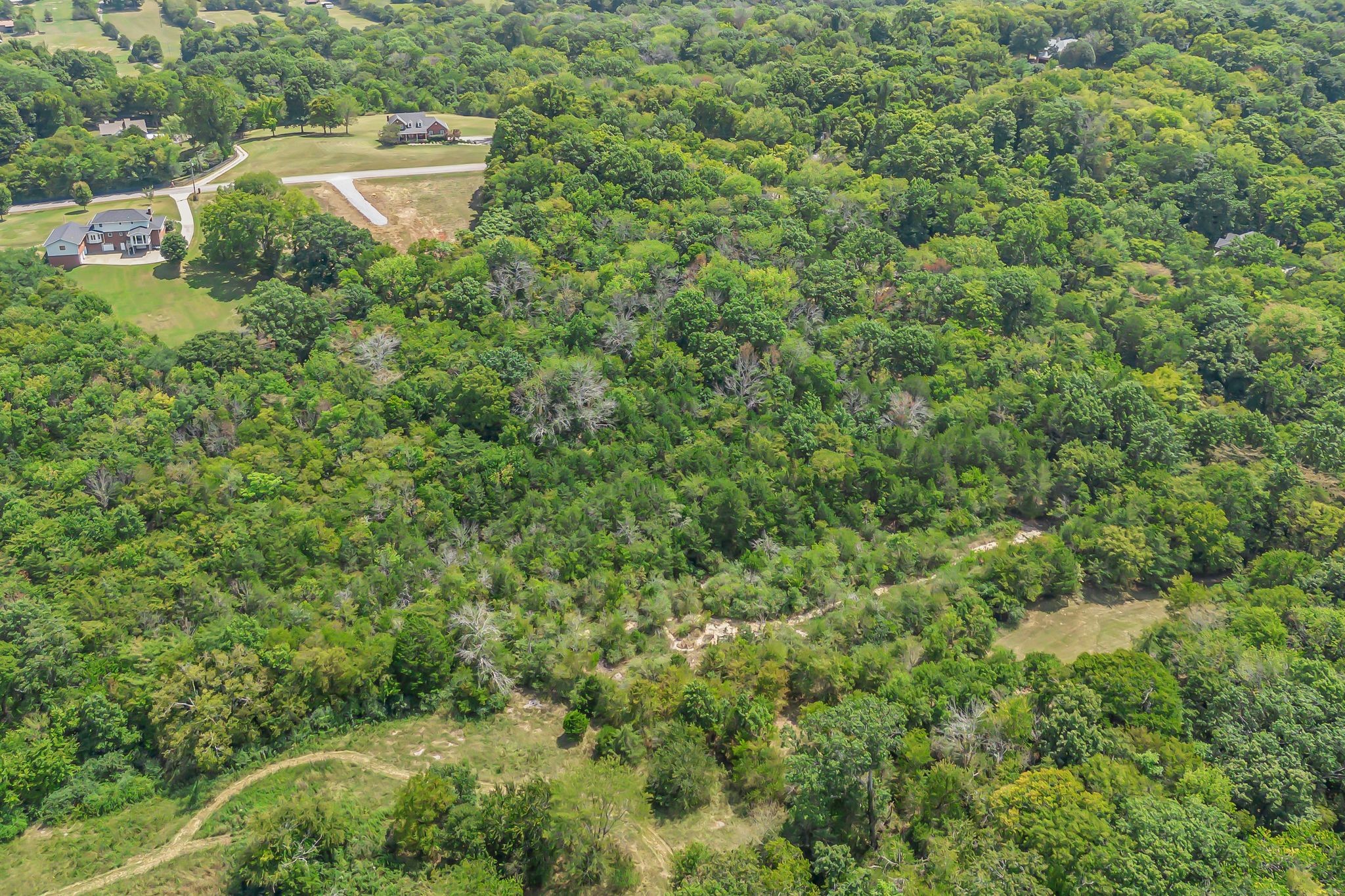 2015 Artesian Dr Property Photo 10