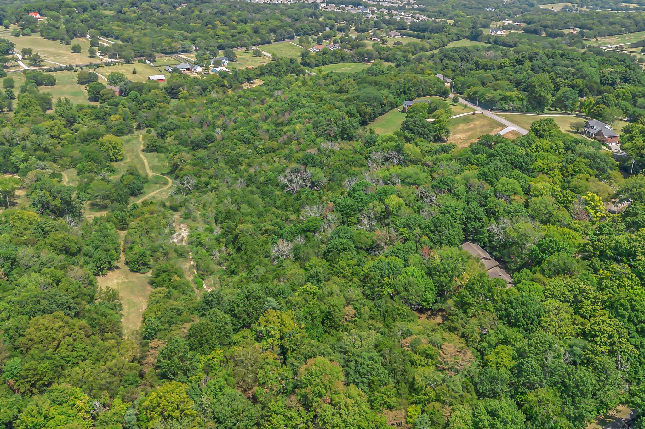 2015 Artesian Dr Property Photo 11
