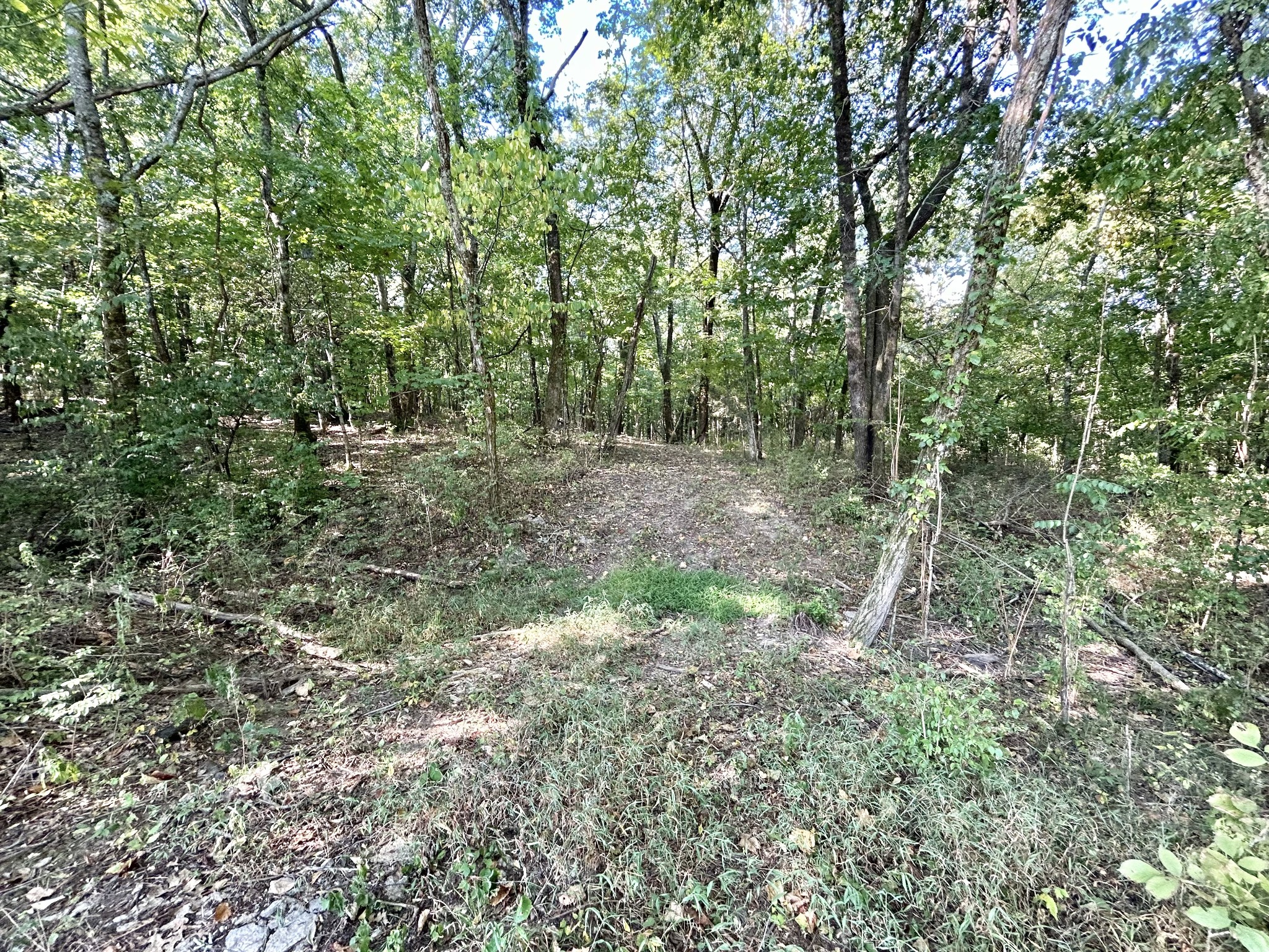 2015 Artesian Dr Property Photo 25