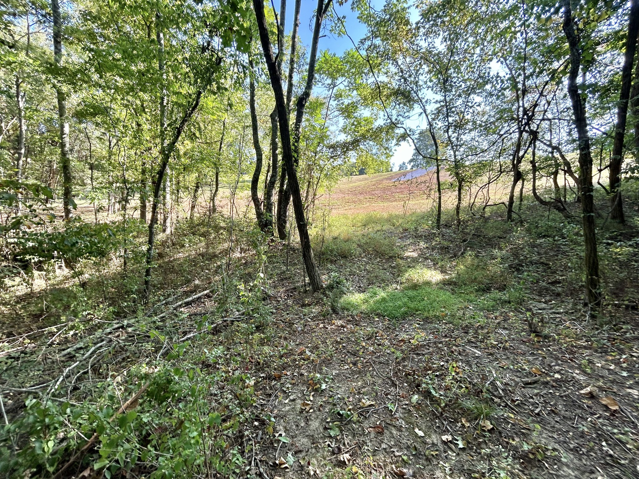 2015 Artesian Dr Property Photo 26