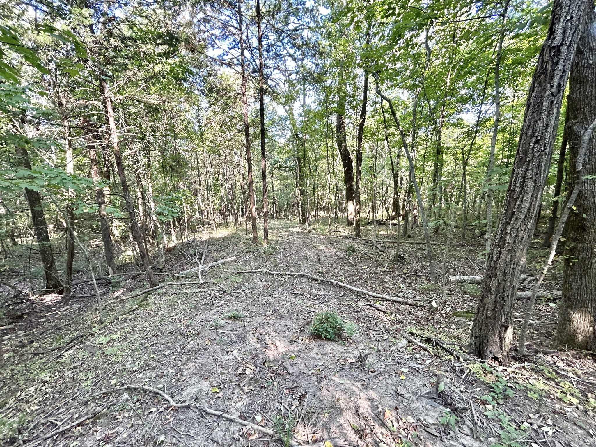 2015 Artesian Dr Property Photo 27