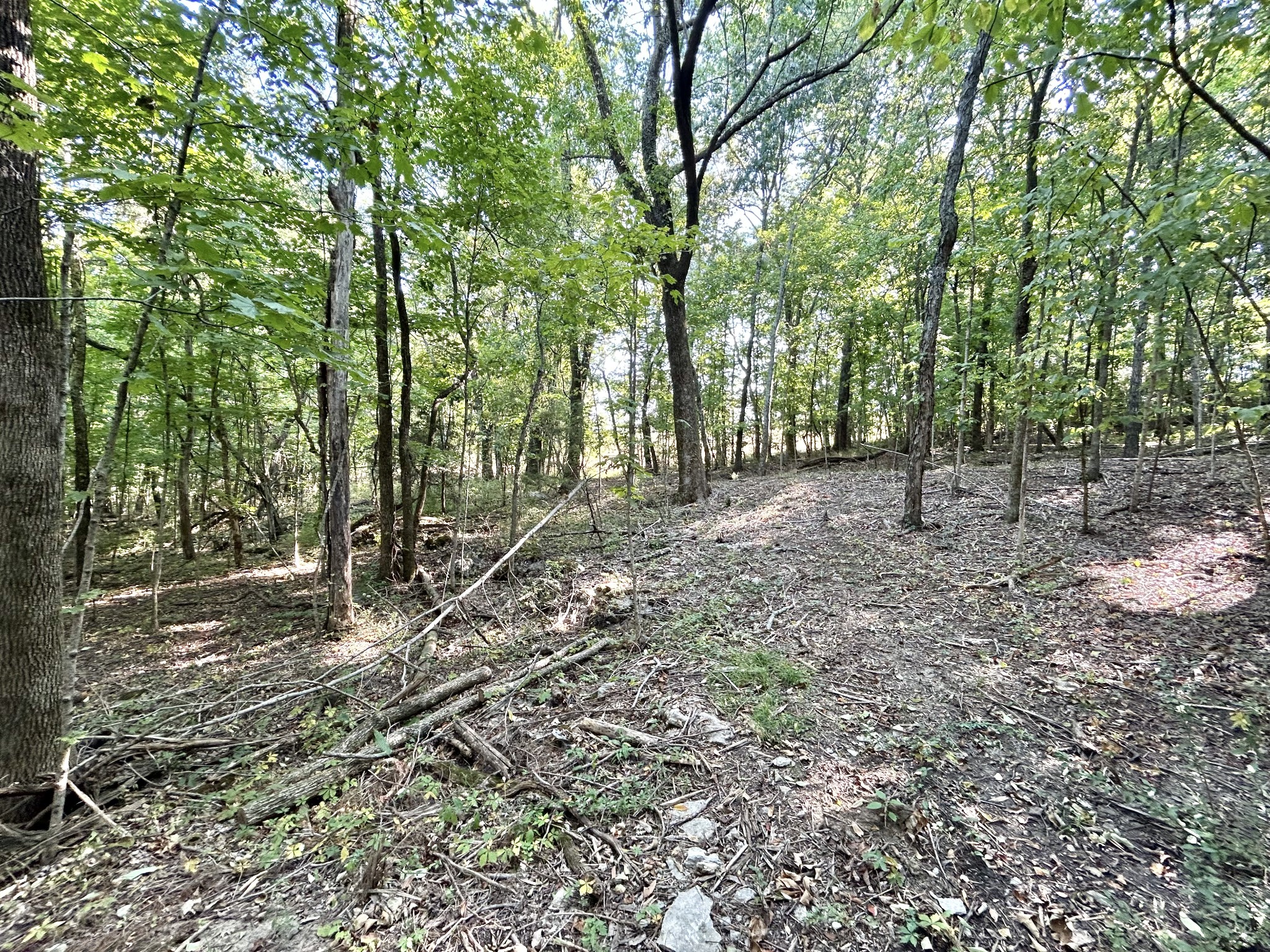 2015 Artesian Dr Property Photo 28