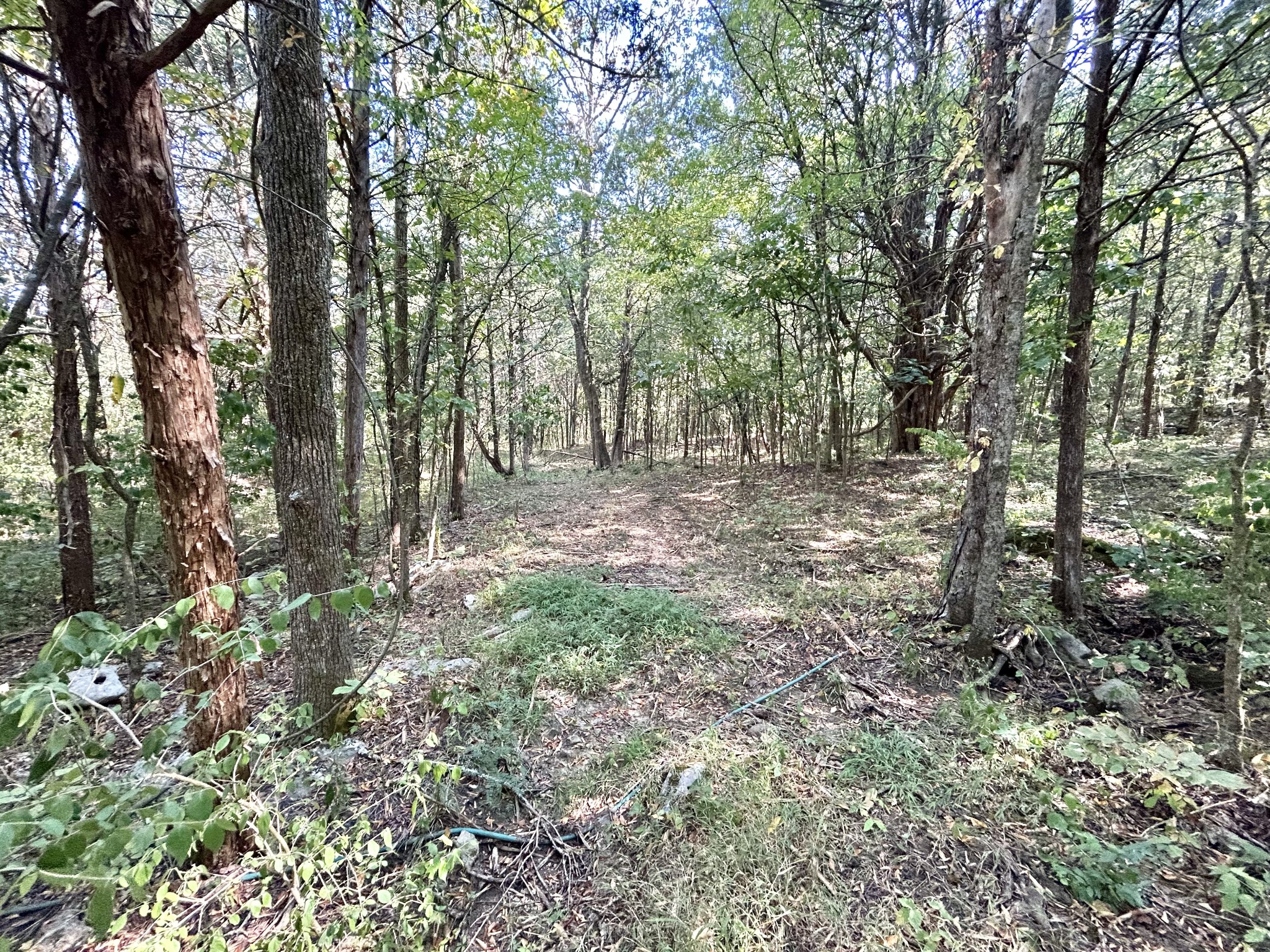 2015 Artesian Dr Property Photo 29