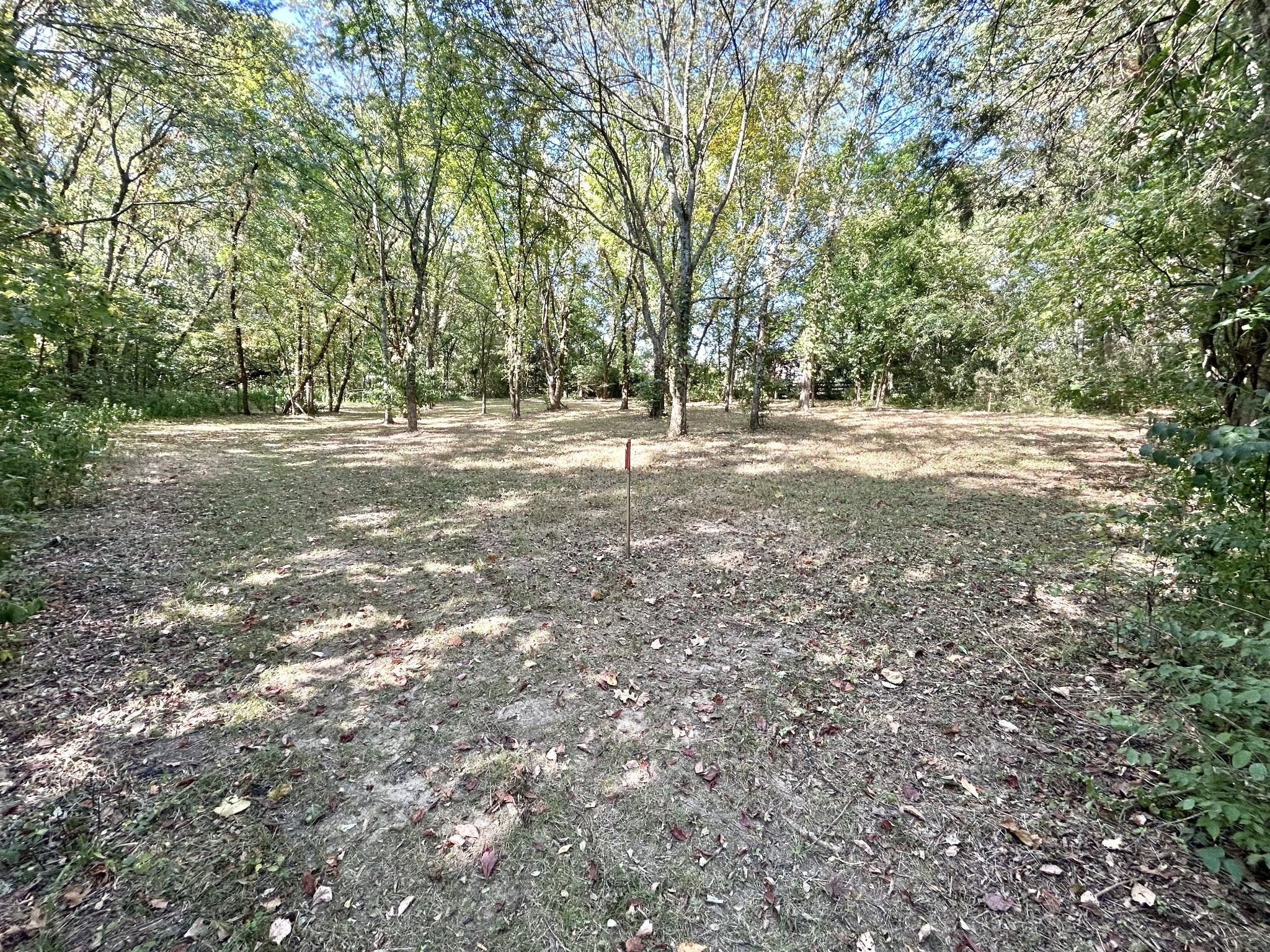 2015 Artesian Dr Property Photo 33