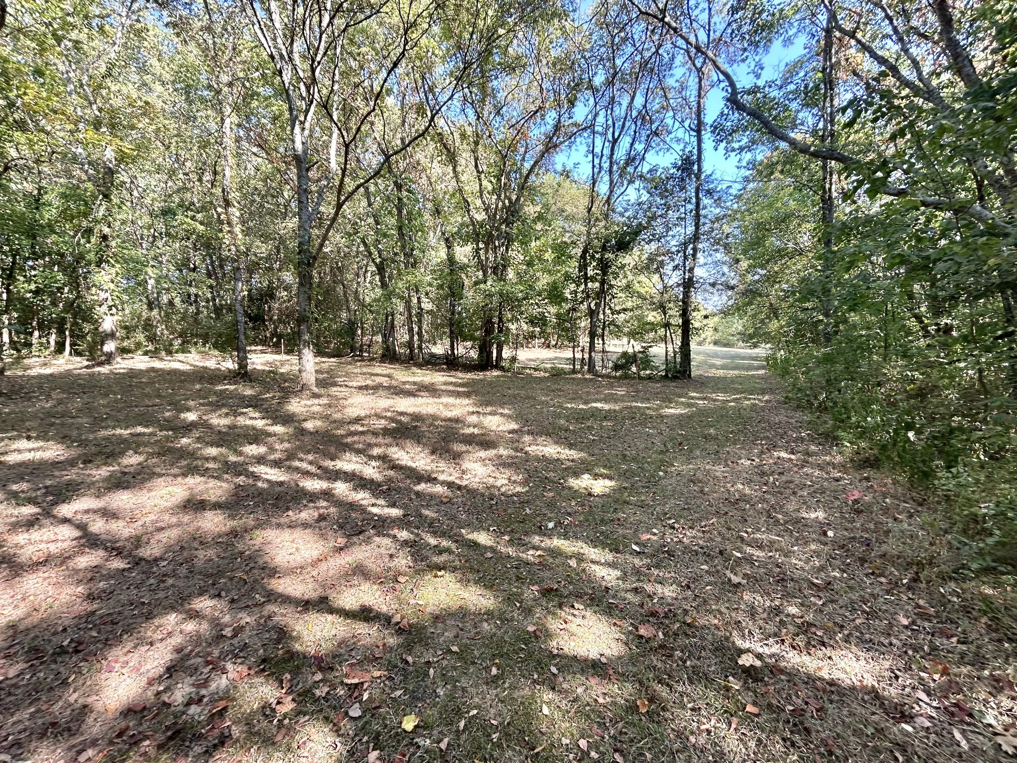 2015 Artesian Dr Property Photo 34