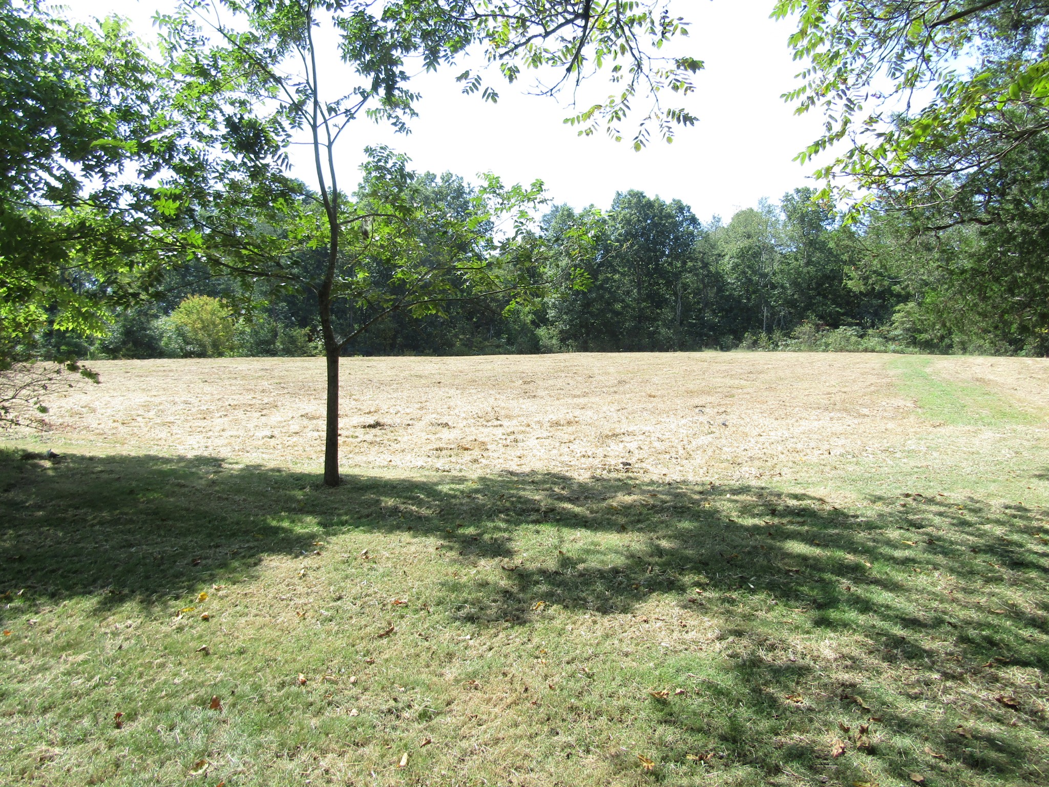 171 Sheep Ranch Rd Property Photo 23