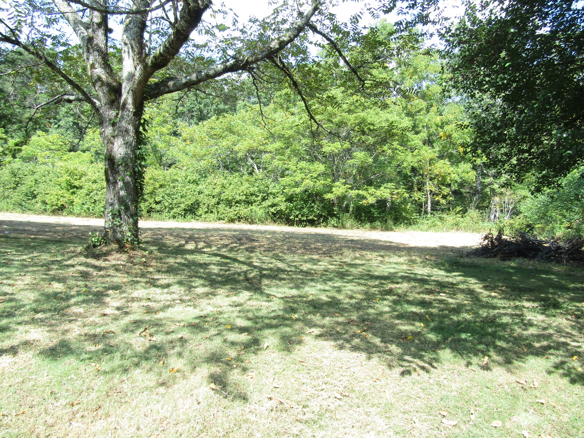 171 Sheep Ranch Rd Property Photo 24