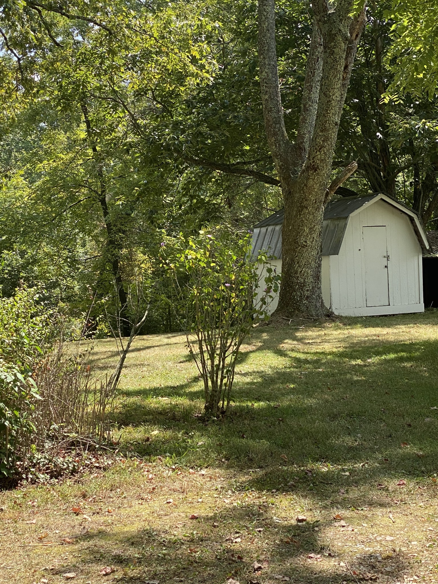 171 Sheep Ranch Rd Property Photo 25