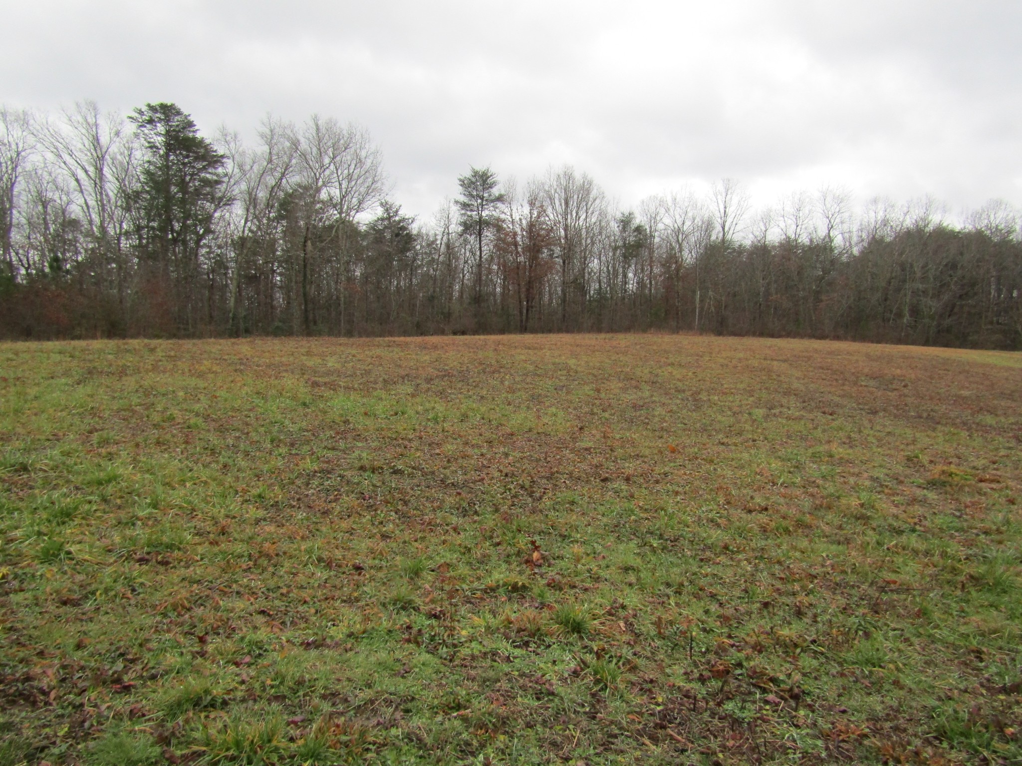 171 Sheep Ranch Rd Property Photo 42