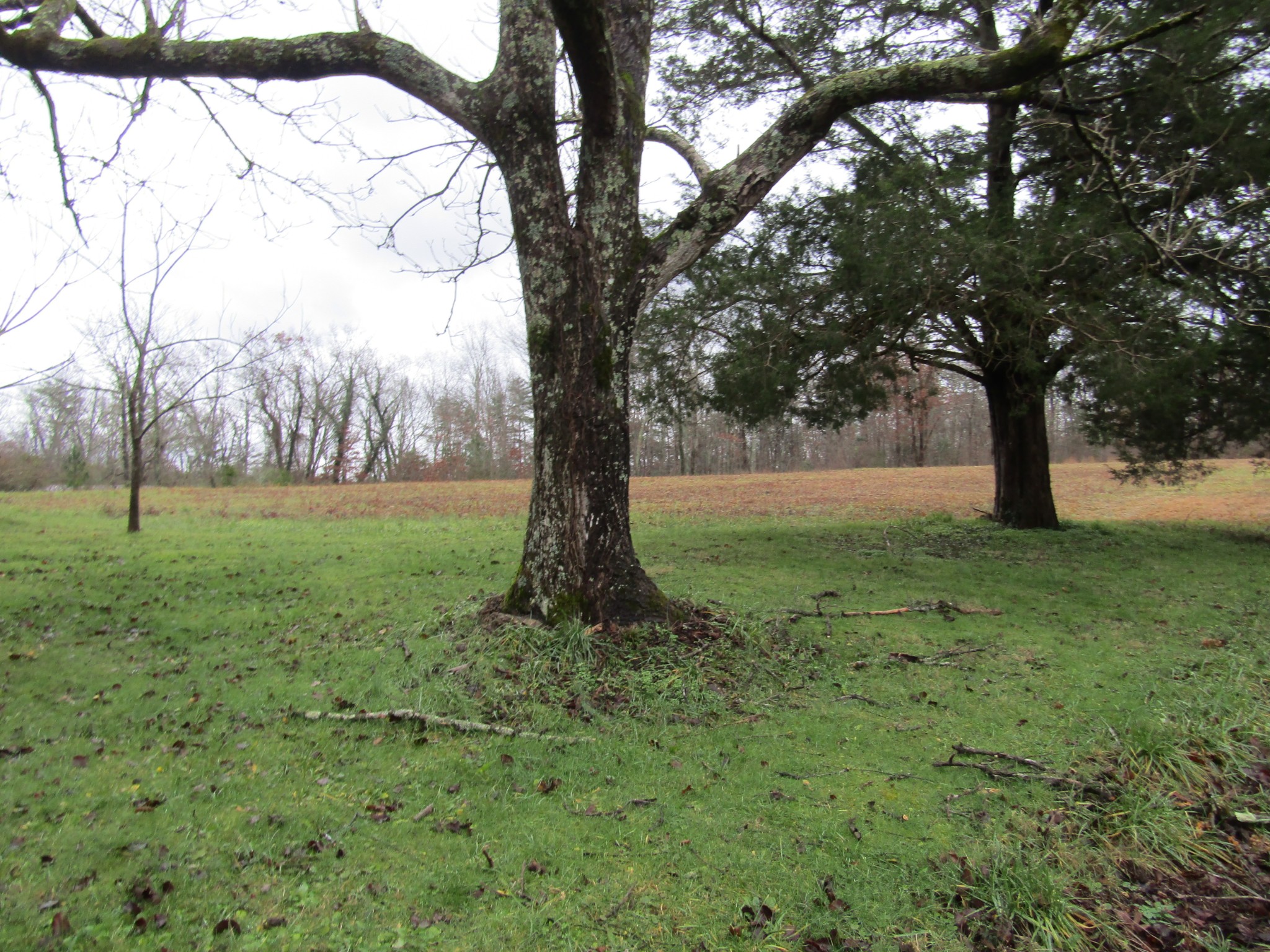 171 Sheep Ranch Rd Property Photo 44