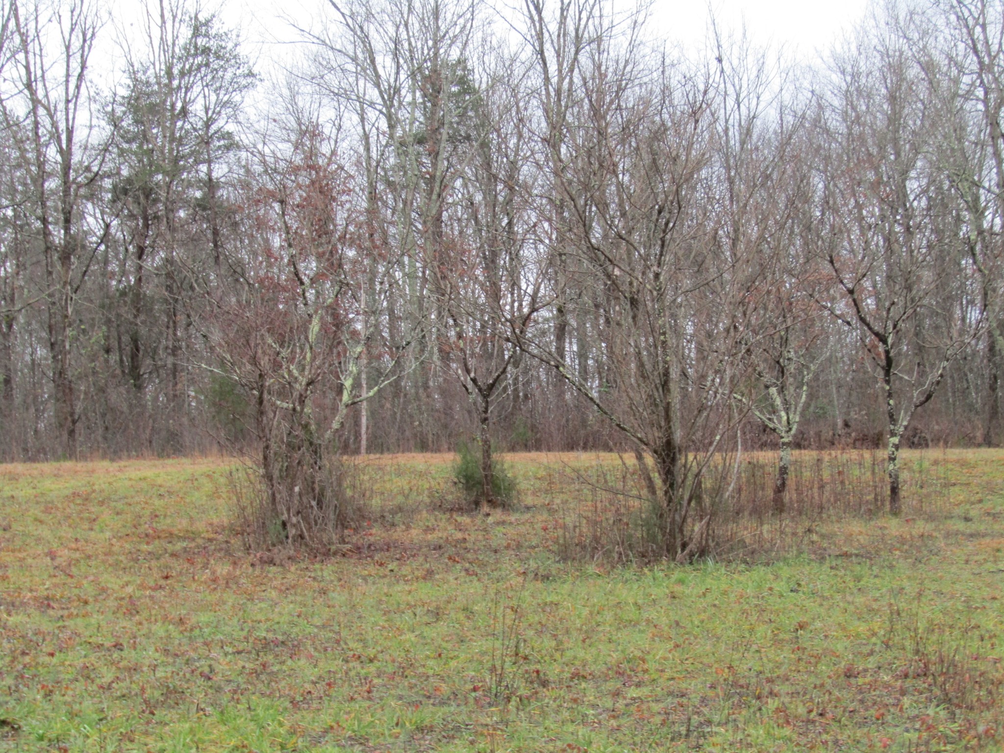 171 Sheep Ranch Rd Property Photo 45