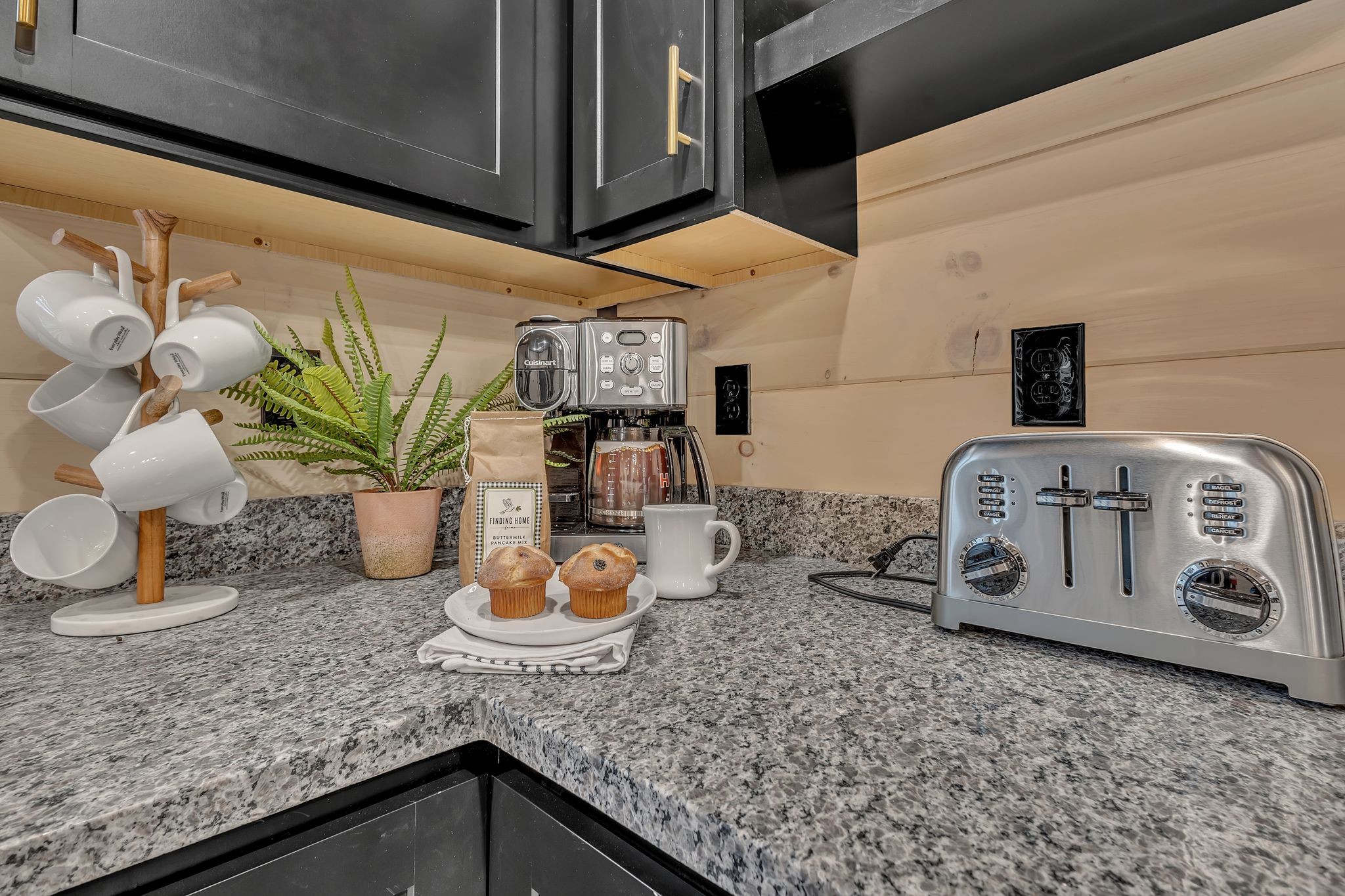 293 Rambling Creek Way Property Photo 14