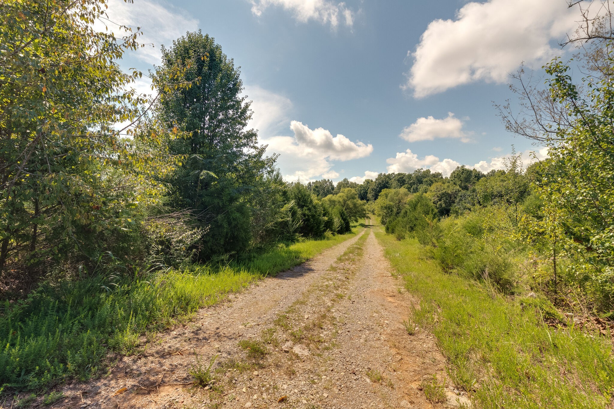 0 Hwy 41a, N Property Photo 10