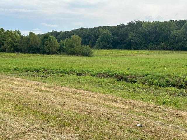 0 Hwy 641 N, N Property Photo 4